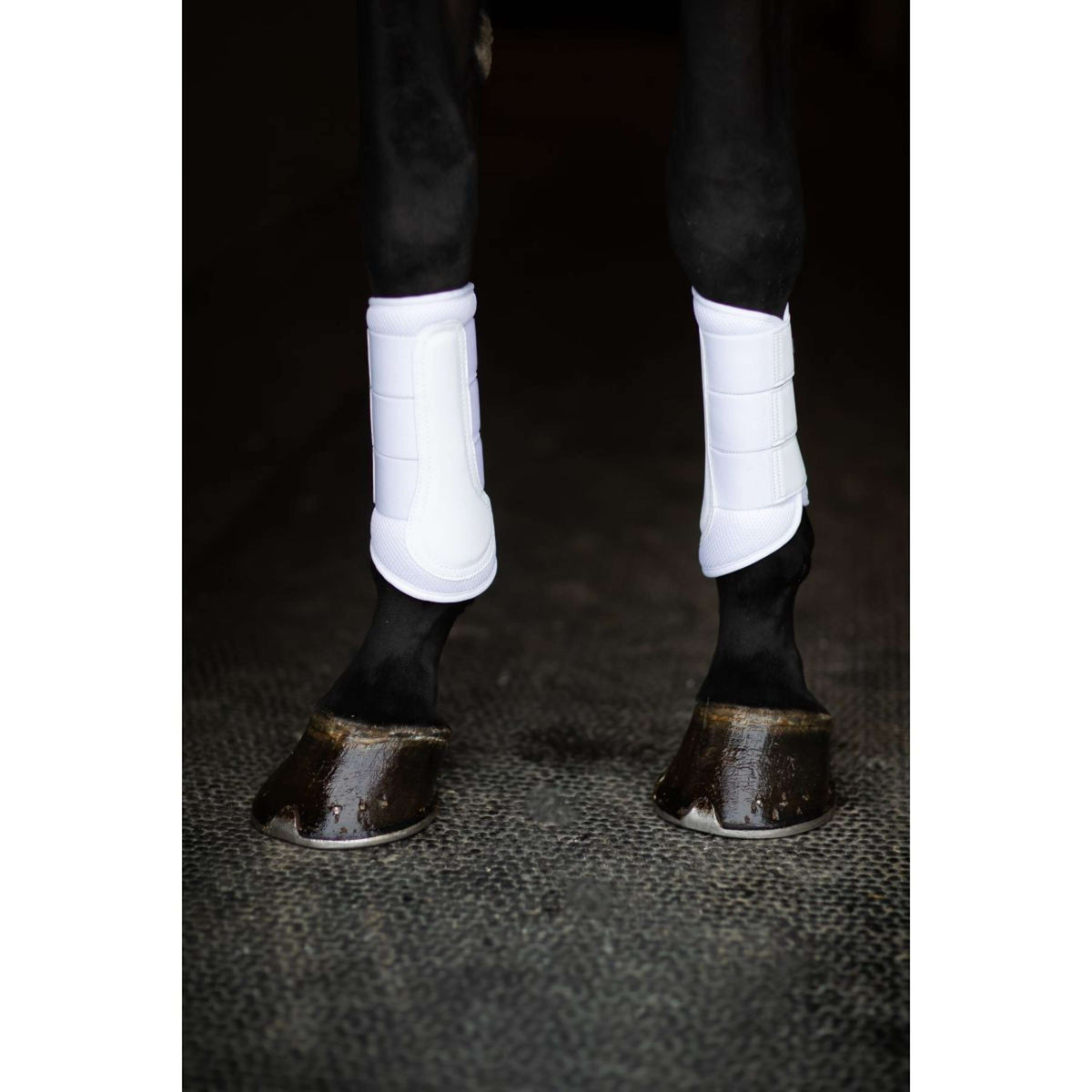 Equestrian Stockholm Leg Protectors Classic Mesh White Silver