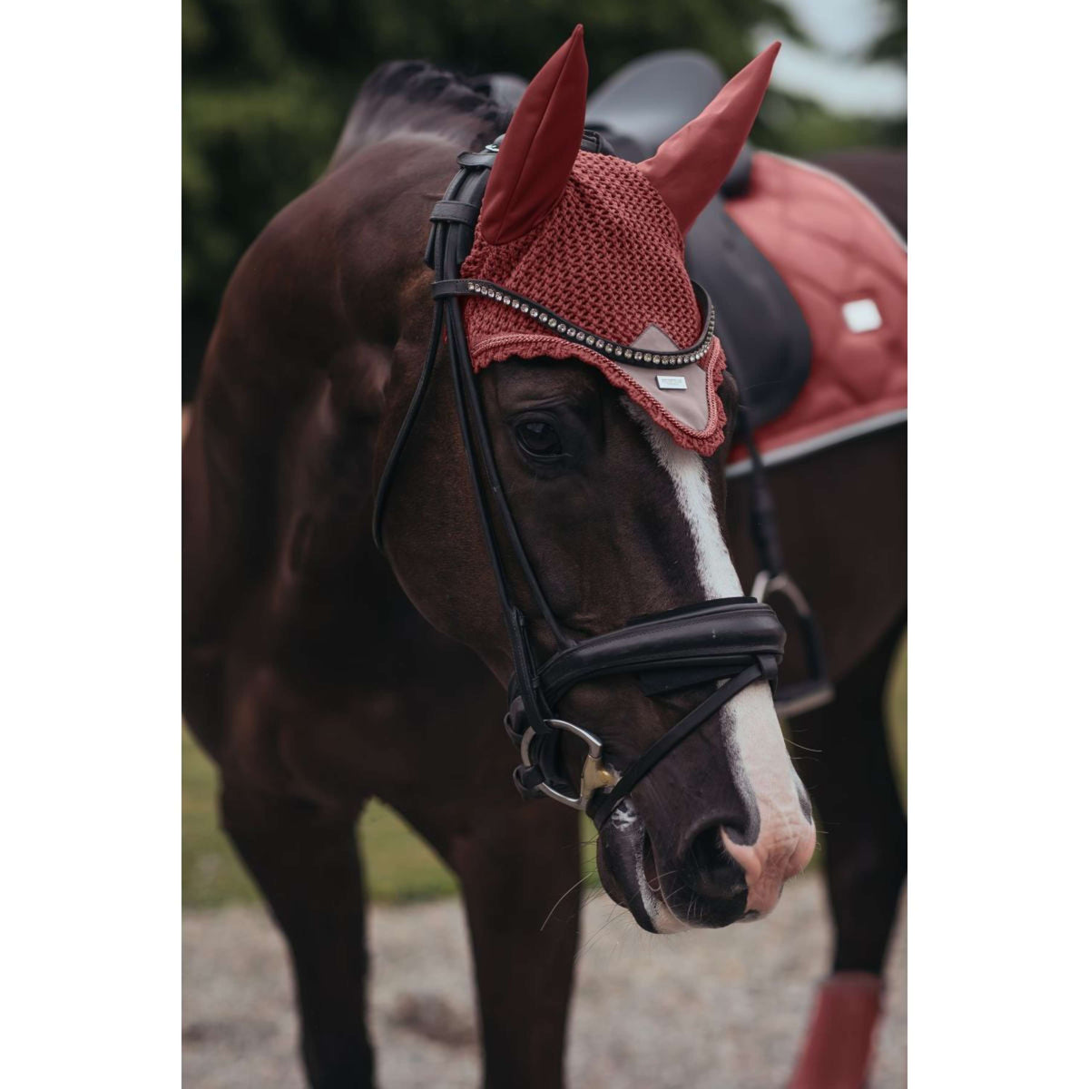 Equestrian Stockholm Ear Bonnet Amber Rose
