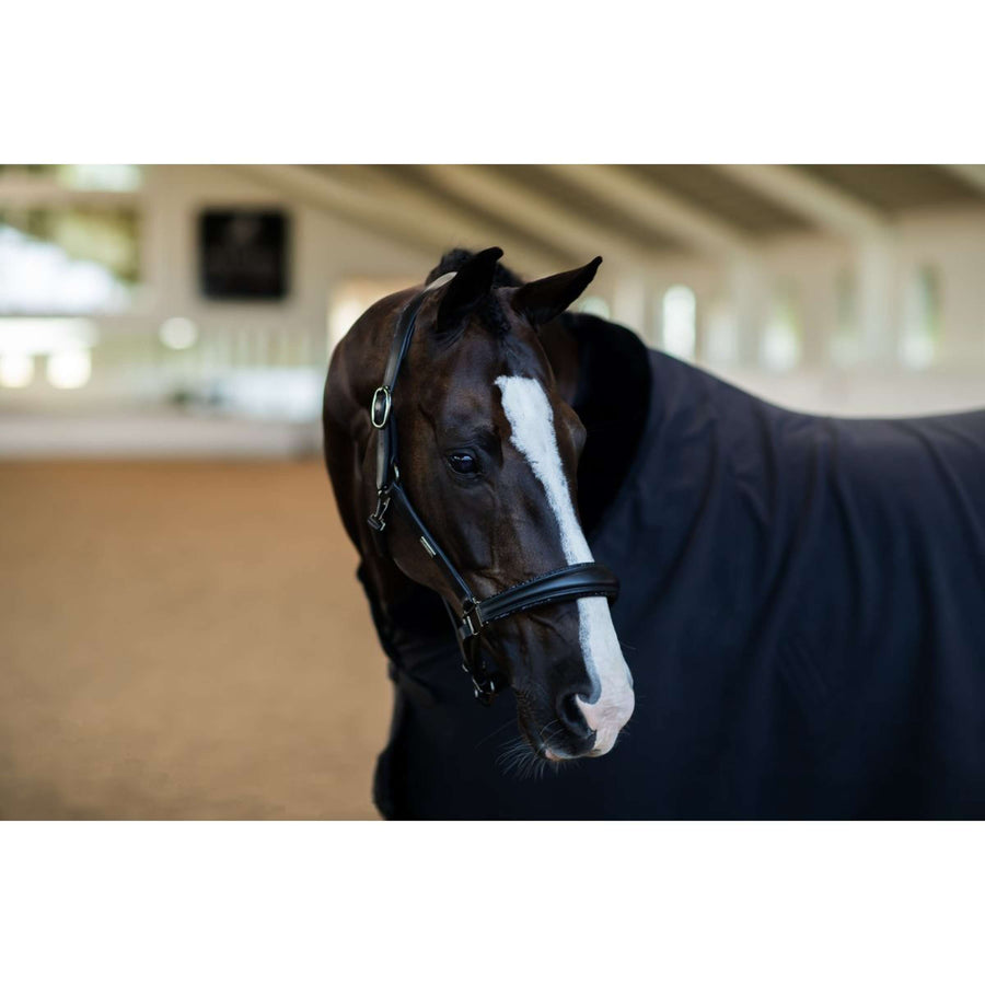 Equestrian Stockholm Halter Glimmer Anatomic Leather Black