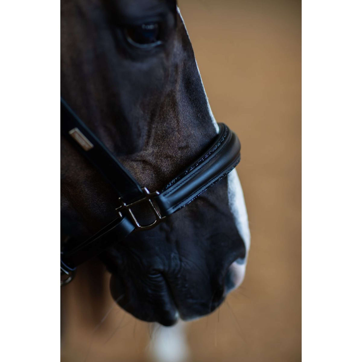 Equestrian Stockholm Halter Glimmer Anatomic Leather Black