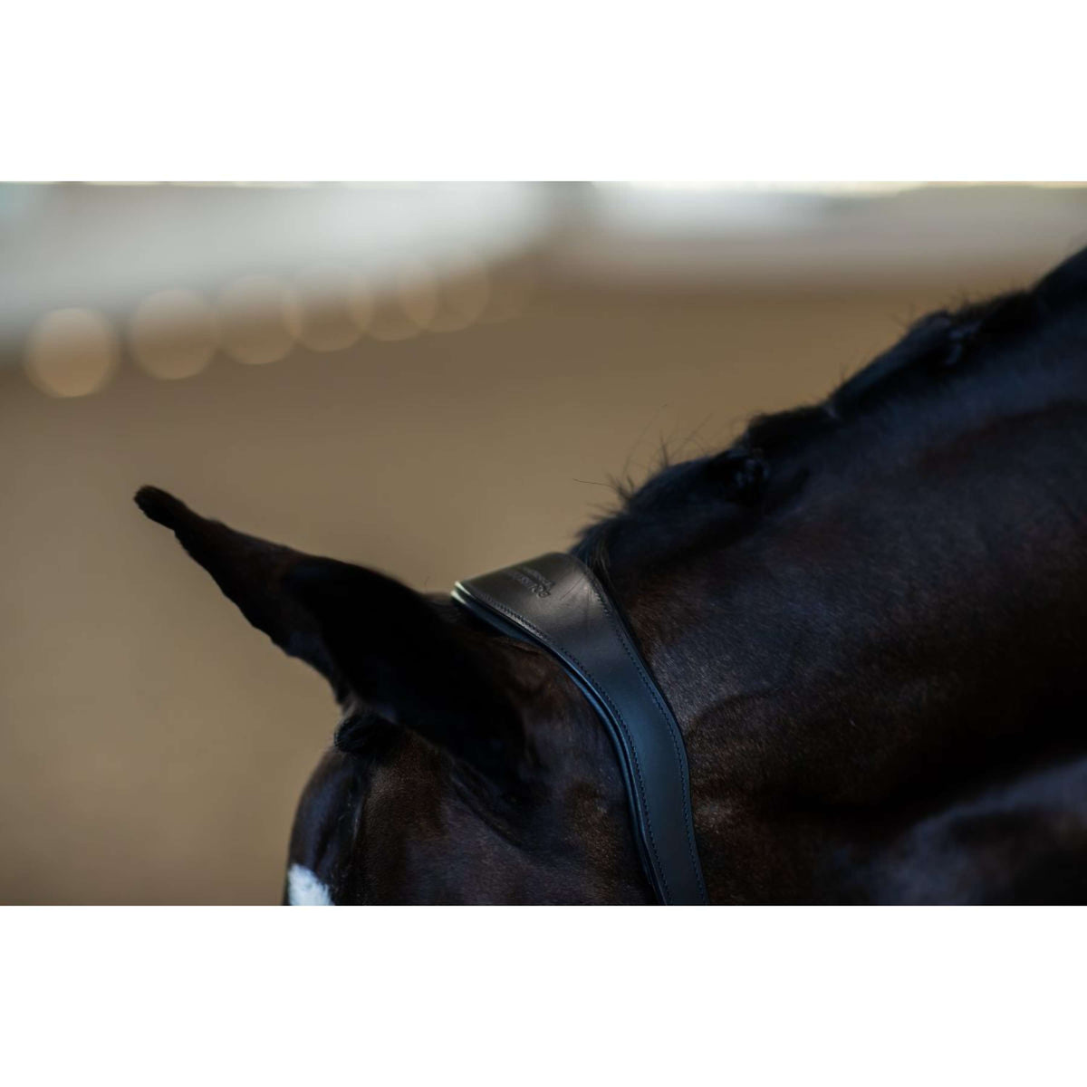 Equestrian Stockholm Halter Glimmer Anatomic Leather Black