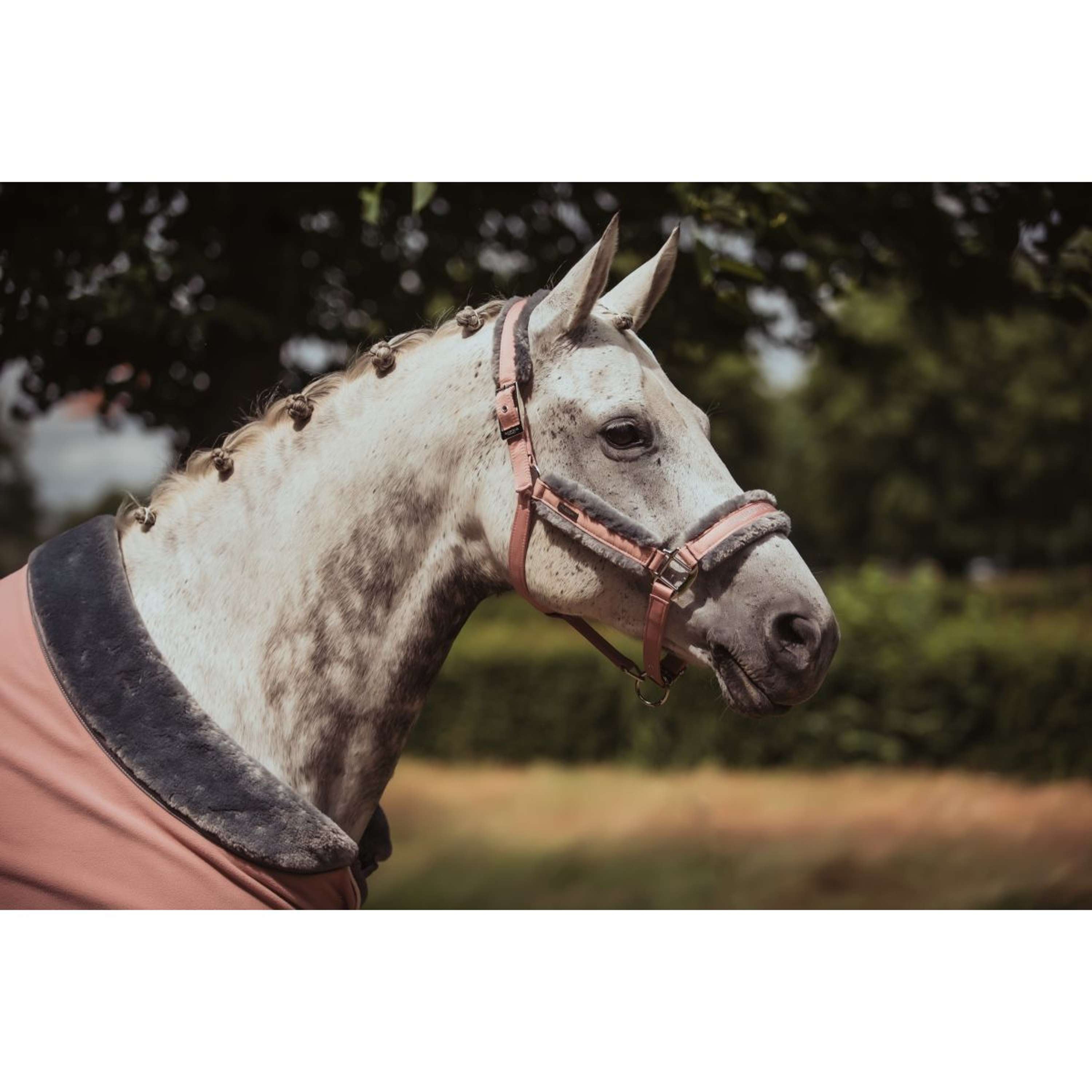 Equestrian Stockholm Fleece Rug Fur Pink