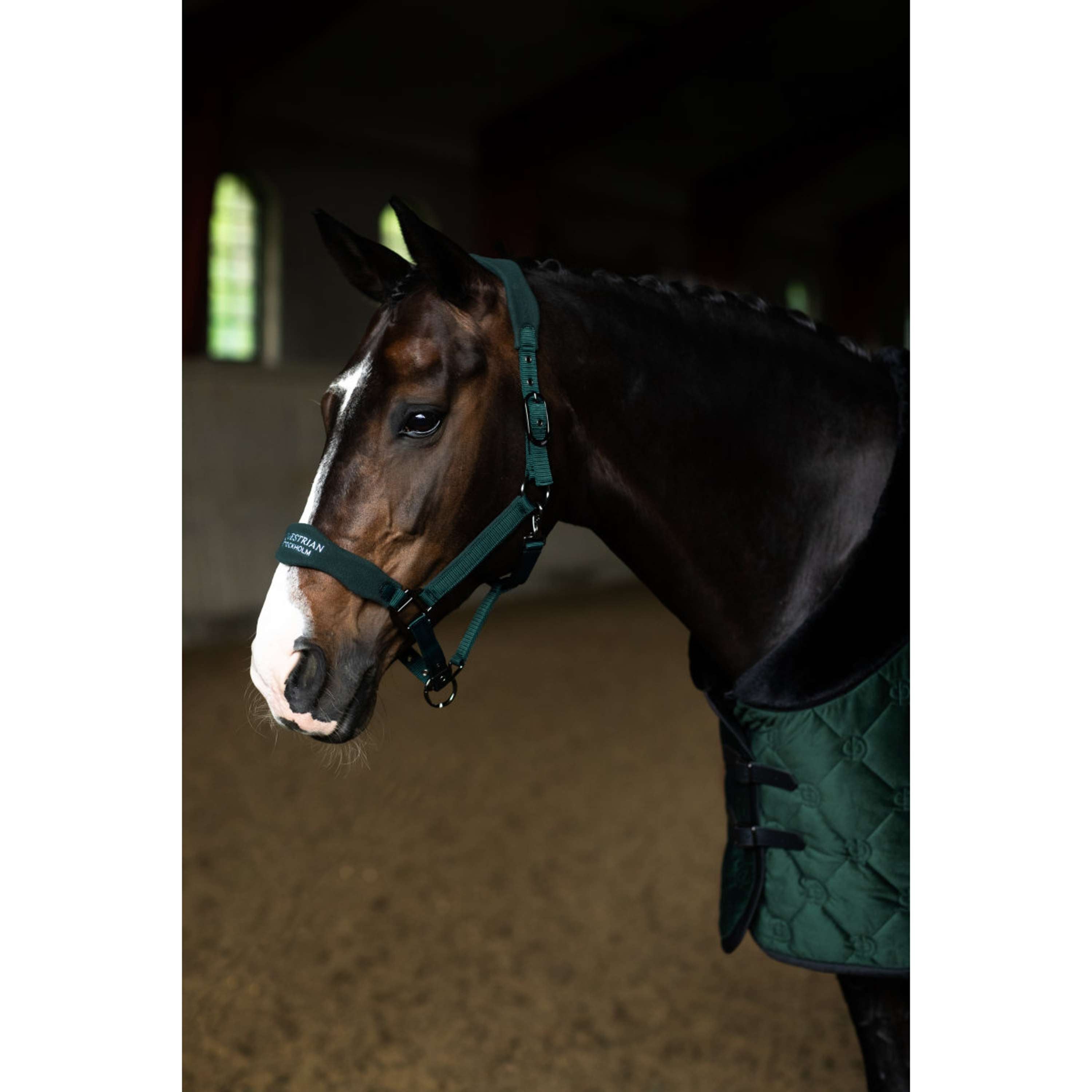 Equestrian Stockholm Halter Anatomic Fleece Sycamore Green