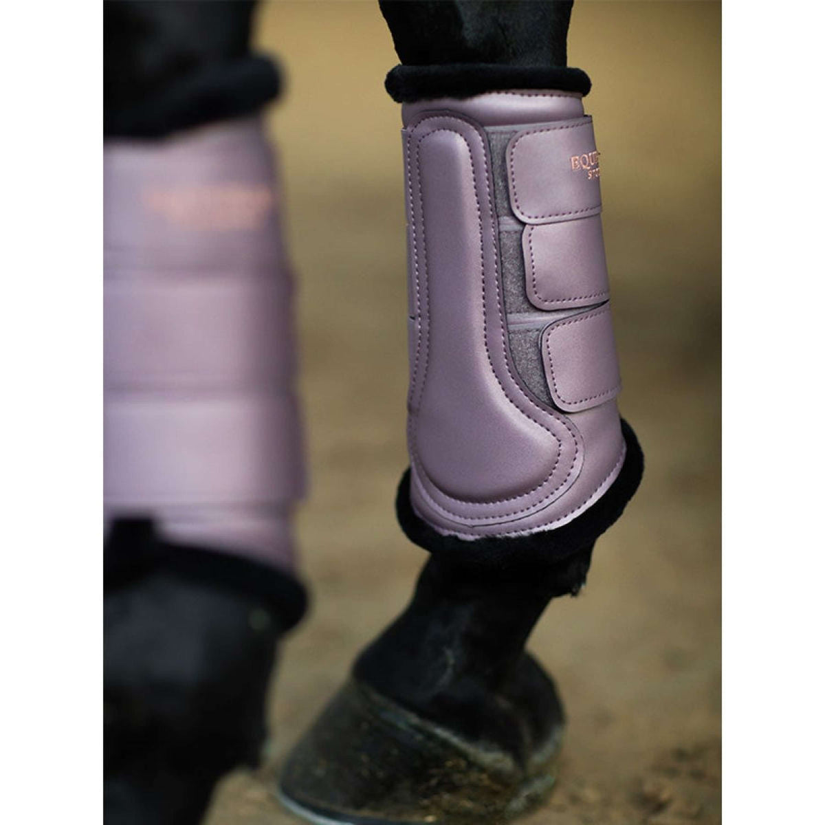 Equestrian Stockholm Leg Protectors Anemone