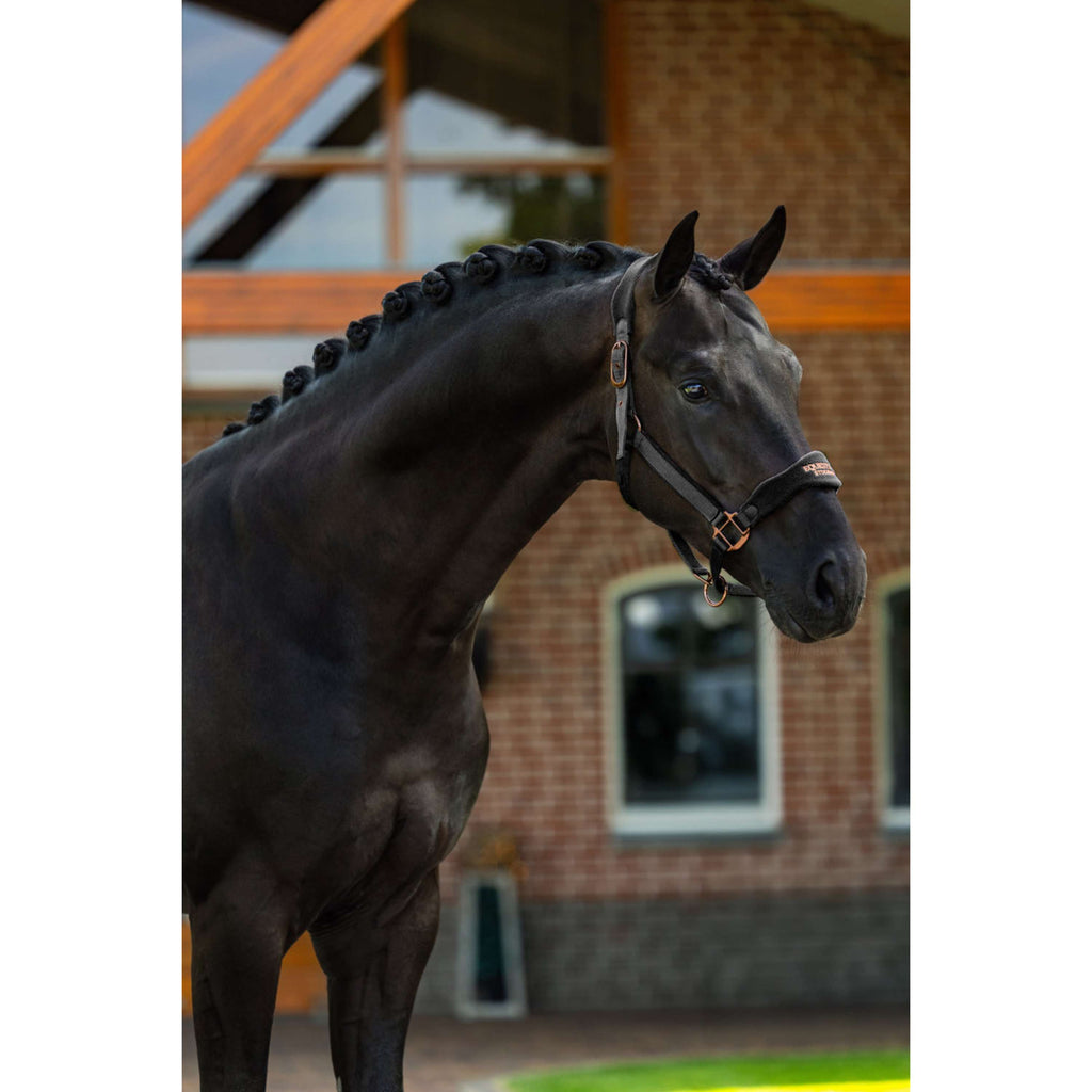 Equestrian Stockholm Halter Anatomic Fleece Black/Blush
