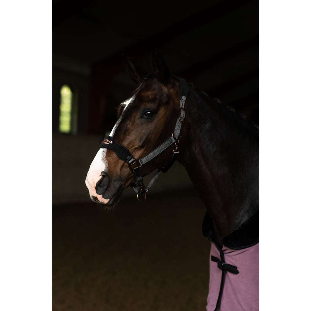 Equestrian Stockholm Halter Anatomic Fleece Black/Blush