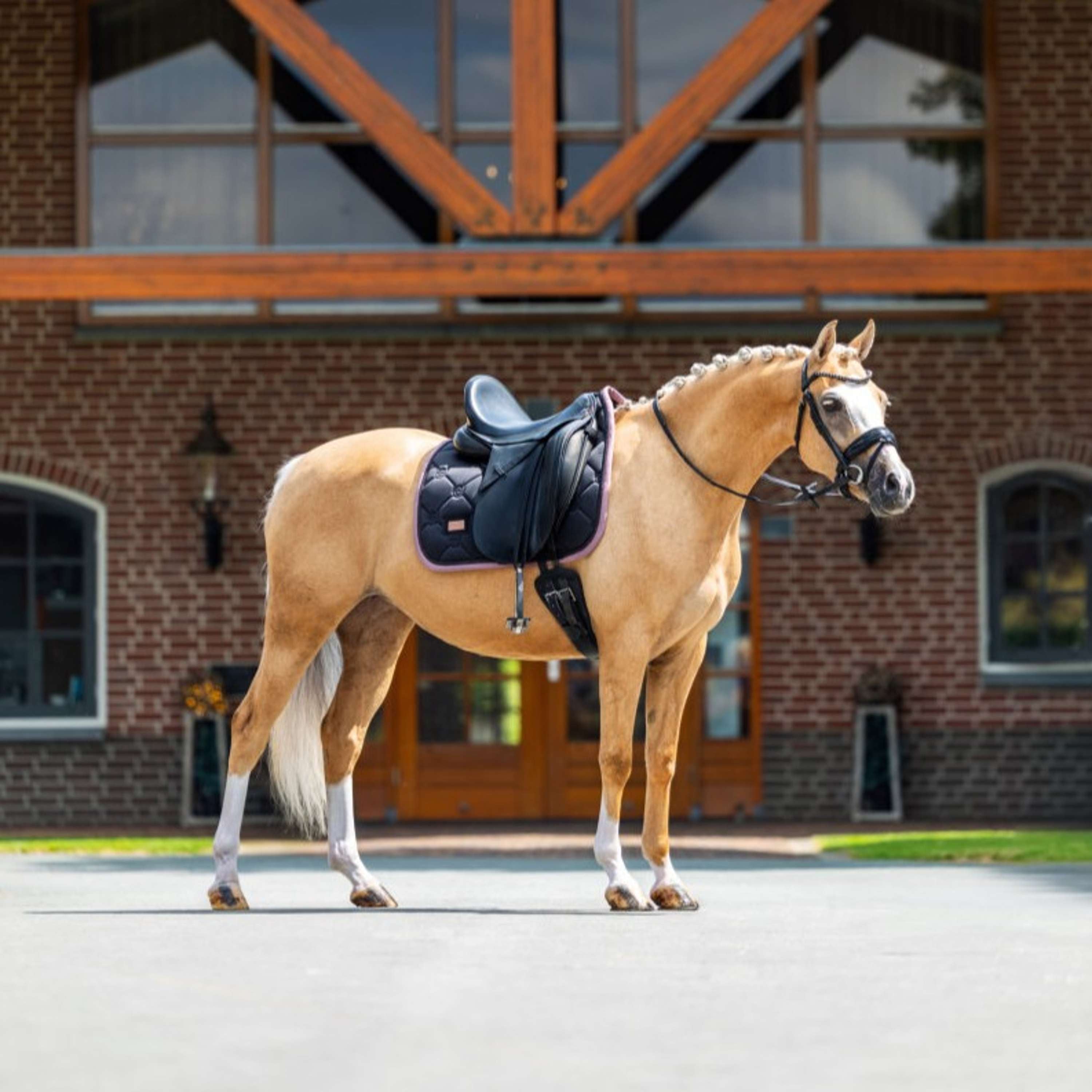Equestrian Stockholm Saddlepad Dressage Black/Blush
