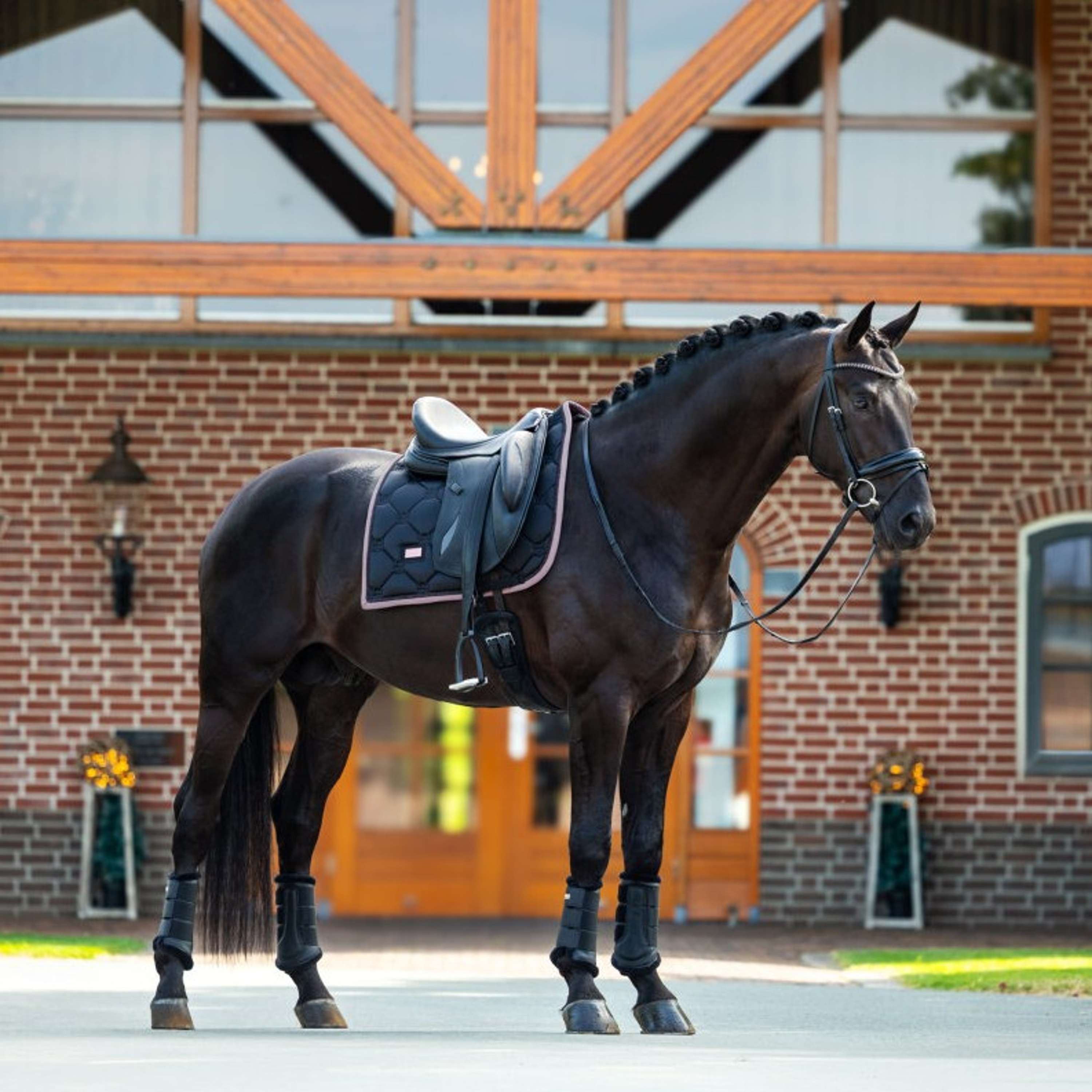 Equestrian Stockholm Saddlepad Dressage Black/Blush