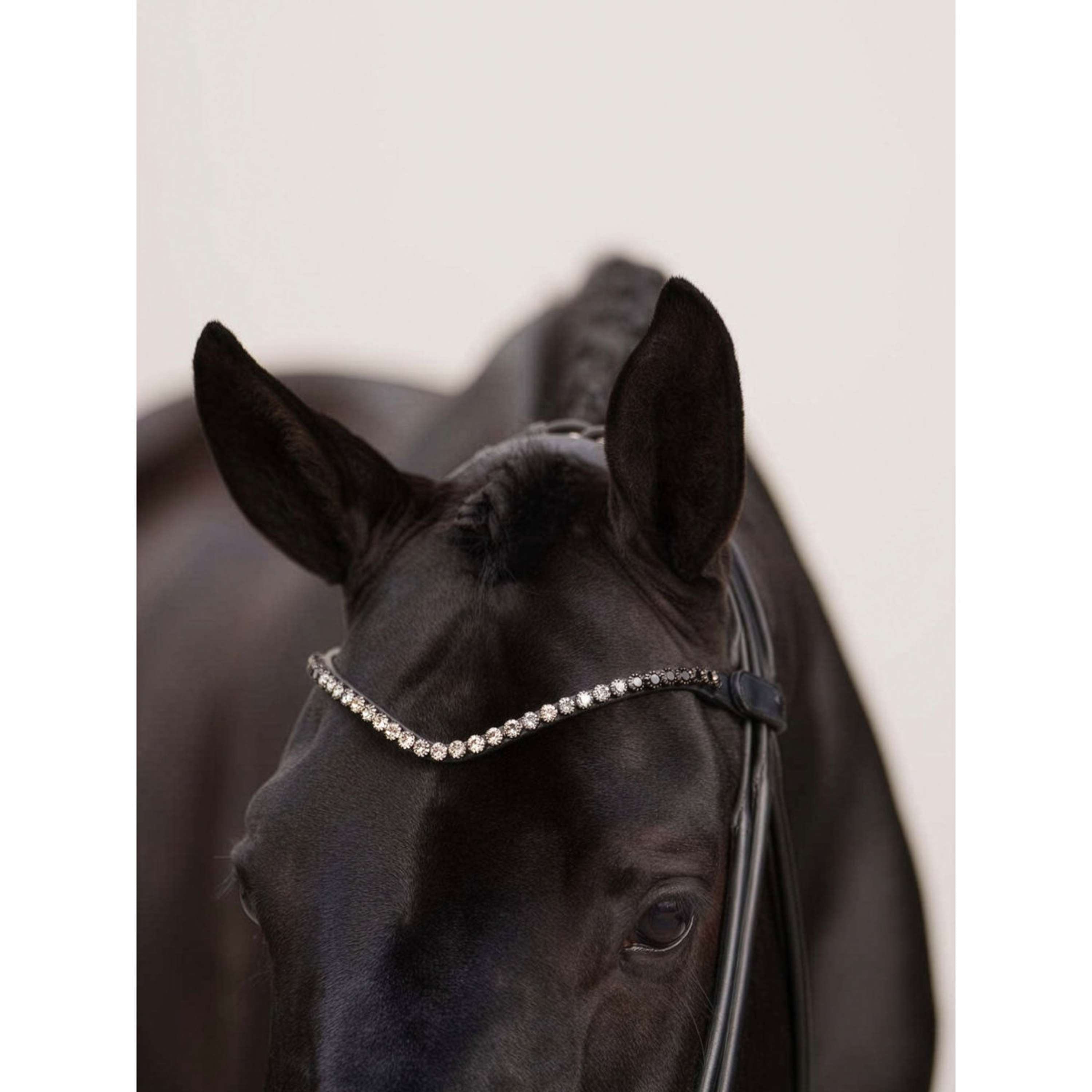 Equestrian Stockholm Browband Faded 8mm Black
