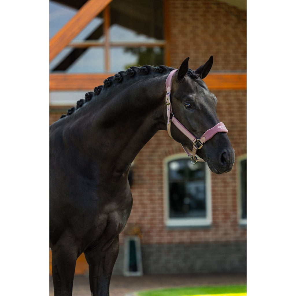 Equestrian Stockholm Halter Anatomic Fleece Blush