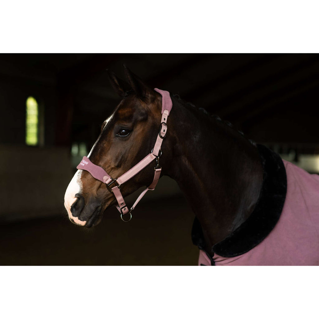 Equestrian Stockholm Halter Anatomic Fleece Blush
