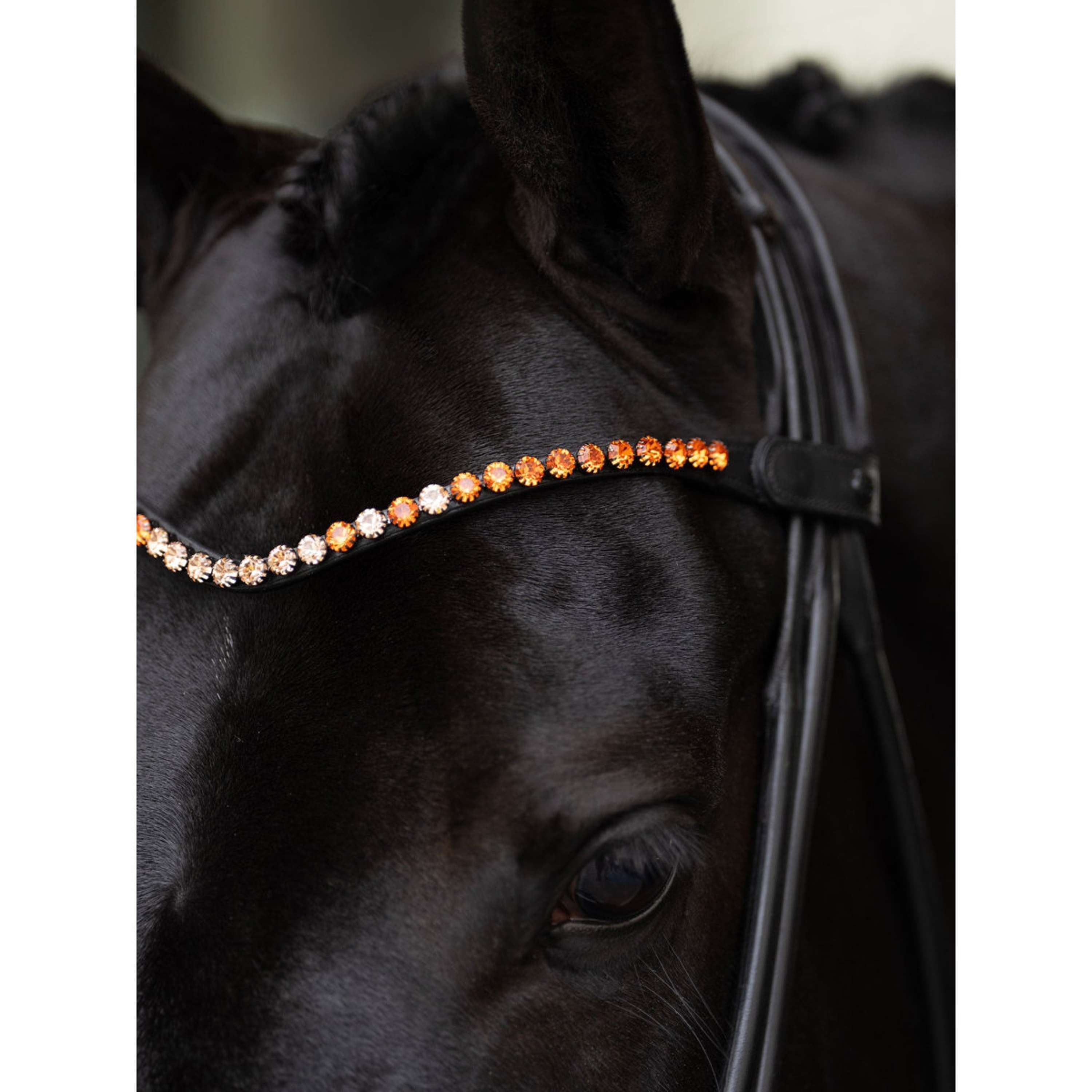 Equestrian Stockholm Browband Faded 8mm Chestnut