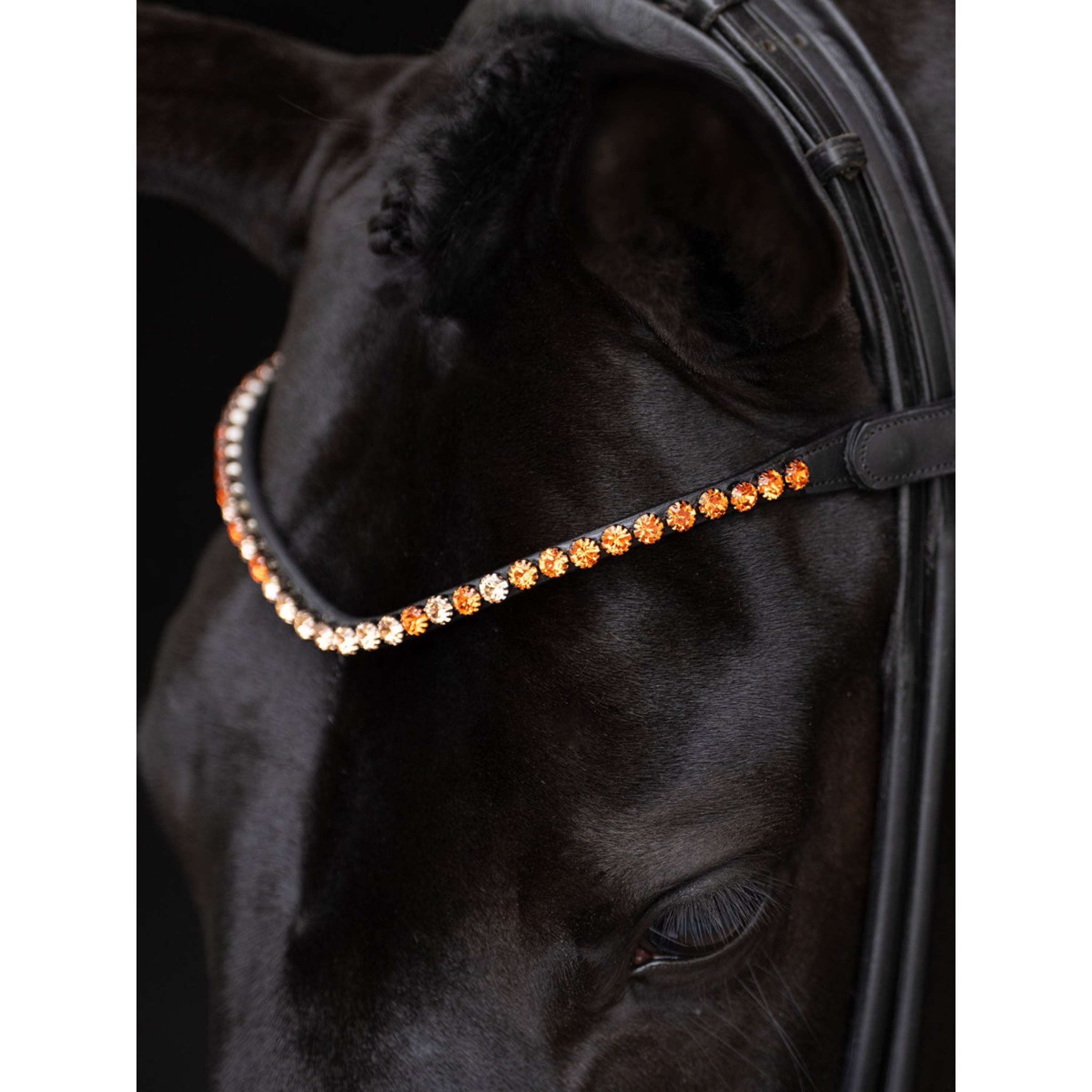 Equestrian Stockholm Browband Faded 8mm Chestnut