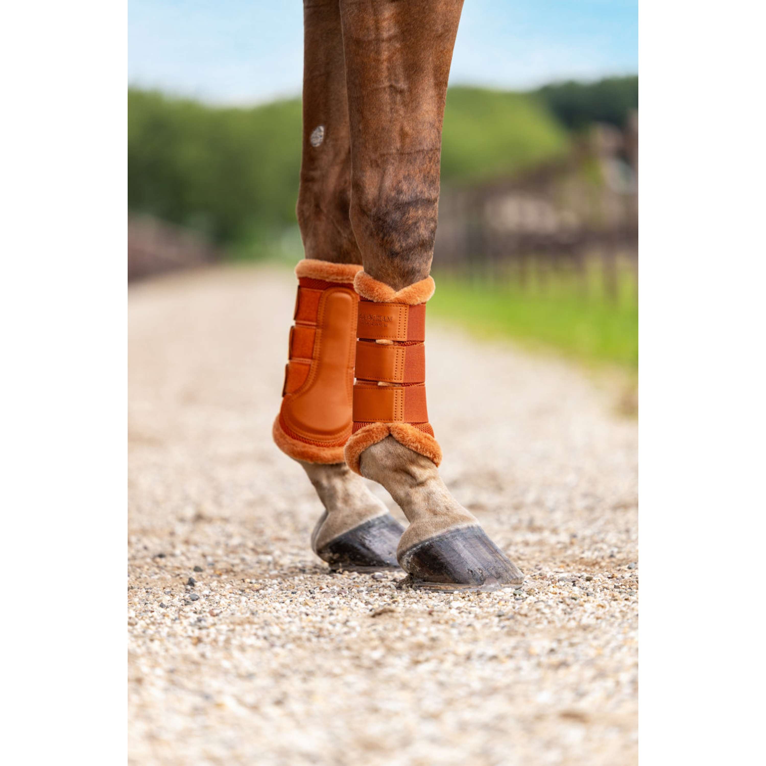 Equestrian Stockholm Leg Protectors Fur Mesh Chestnut