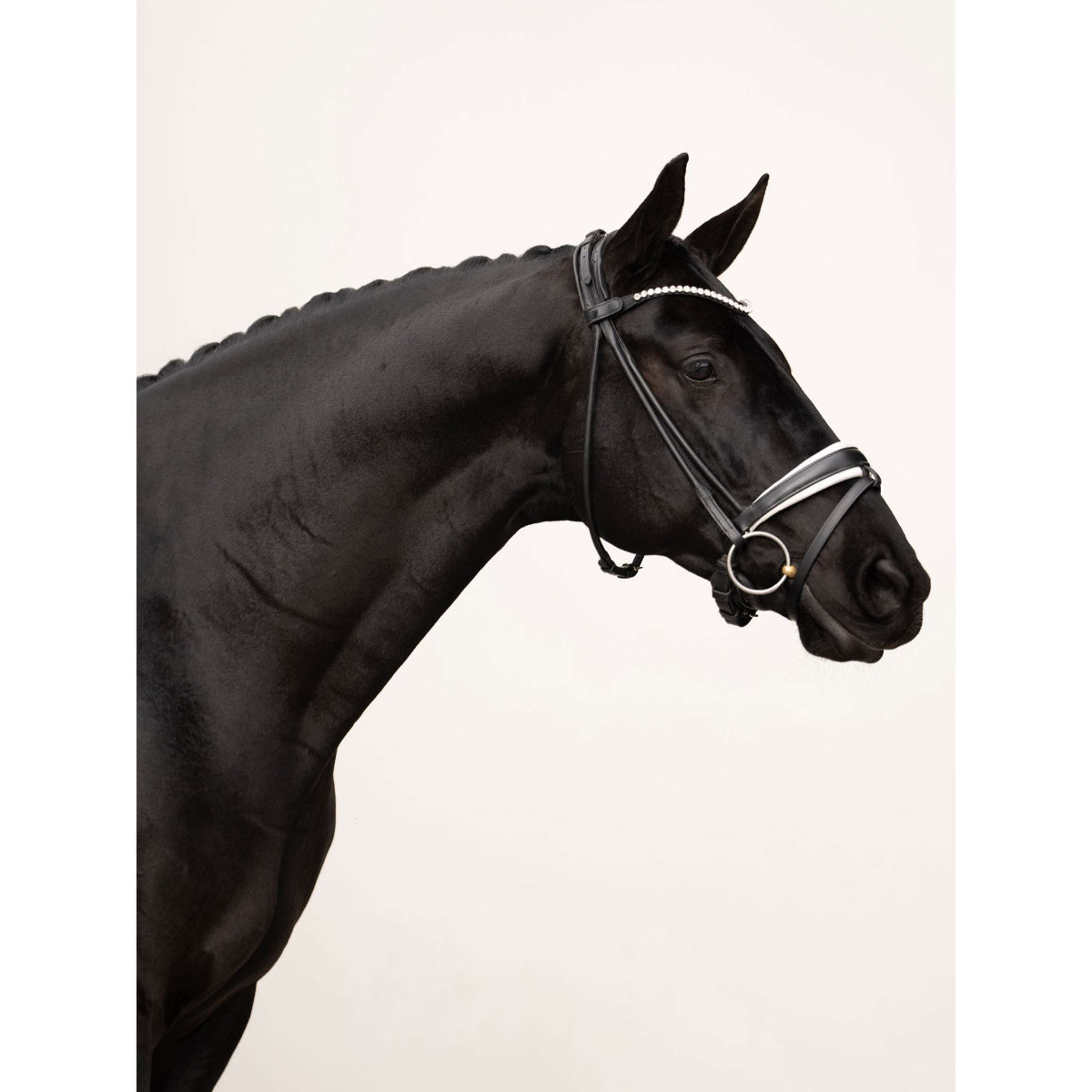 Equestrian Stockholm Browband Faded 8mm Crystal