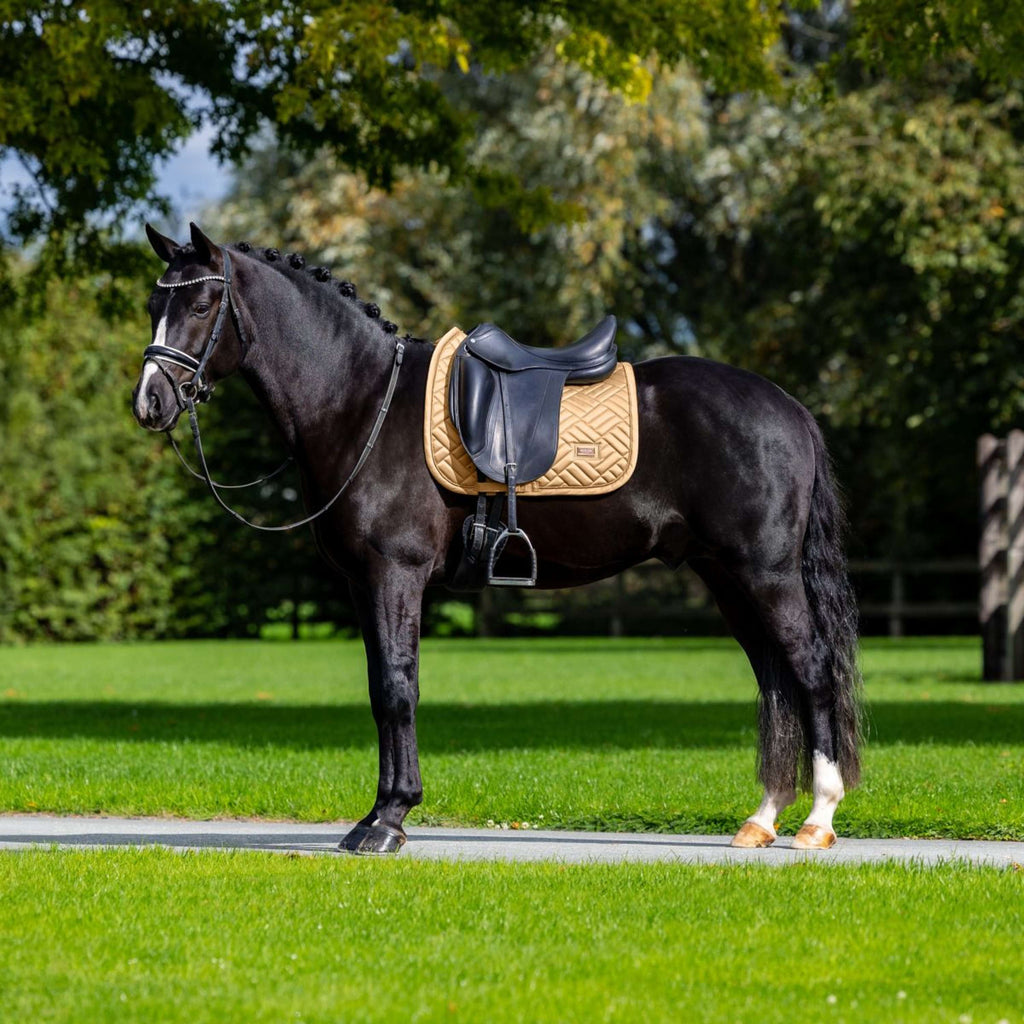 Equestrian Stockholm Saddlepad Modern Dressage Midsummer Glow