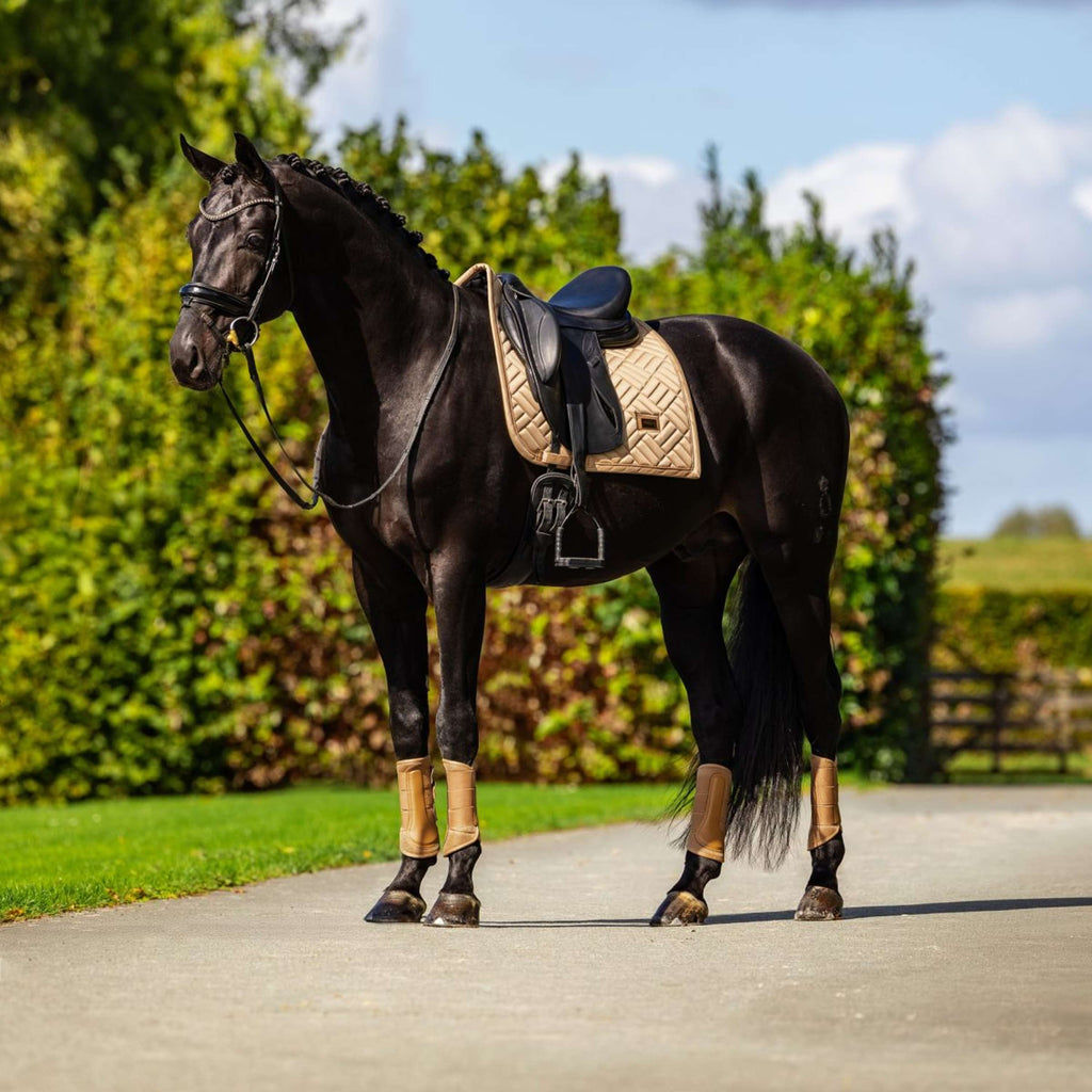 Equestrian Stockholm Saddlepad Modern Dressage Midsummer Glow