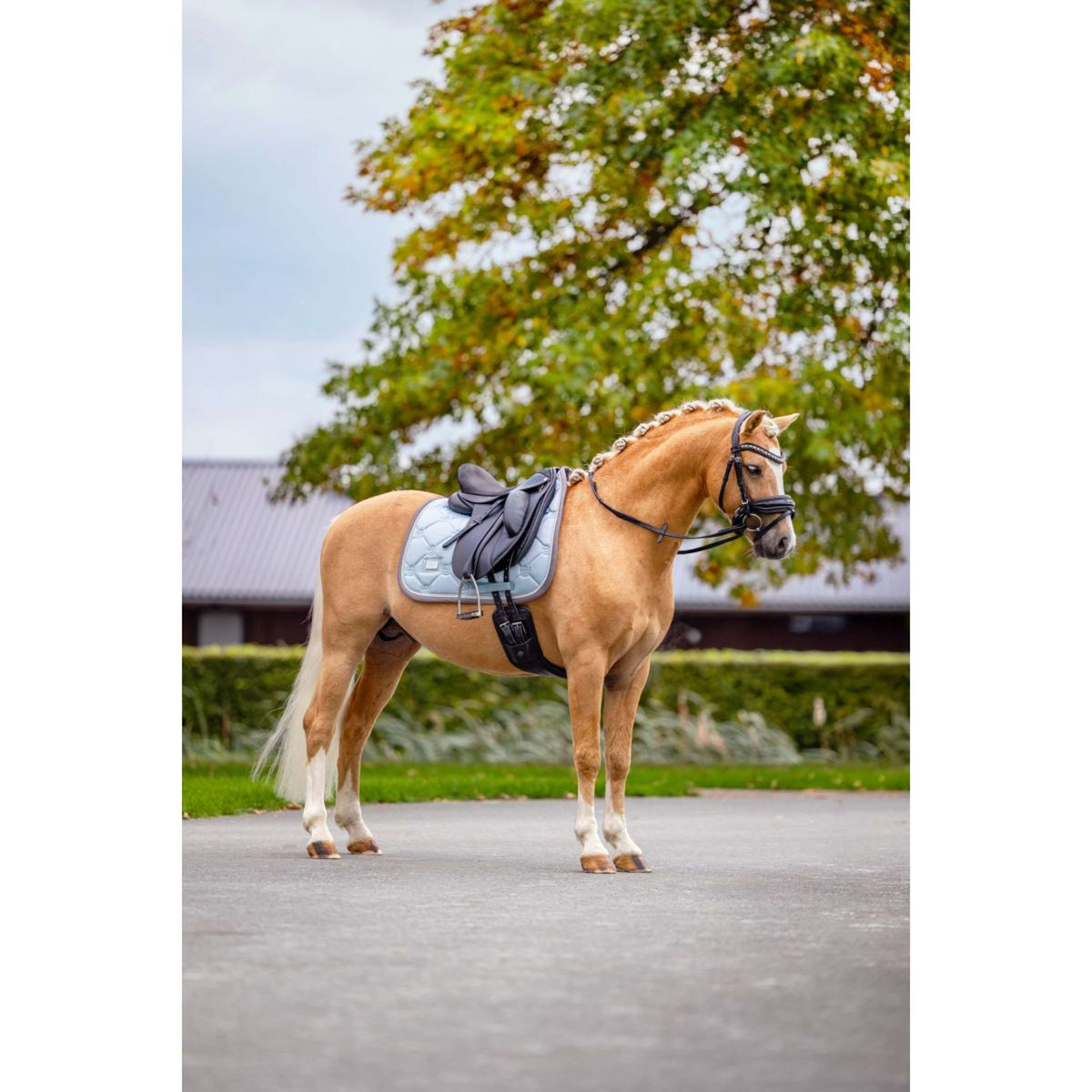 Equestrian Stockholm Saddlepad Dressage Ice Blue