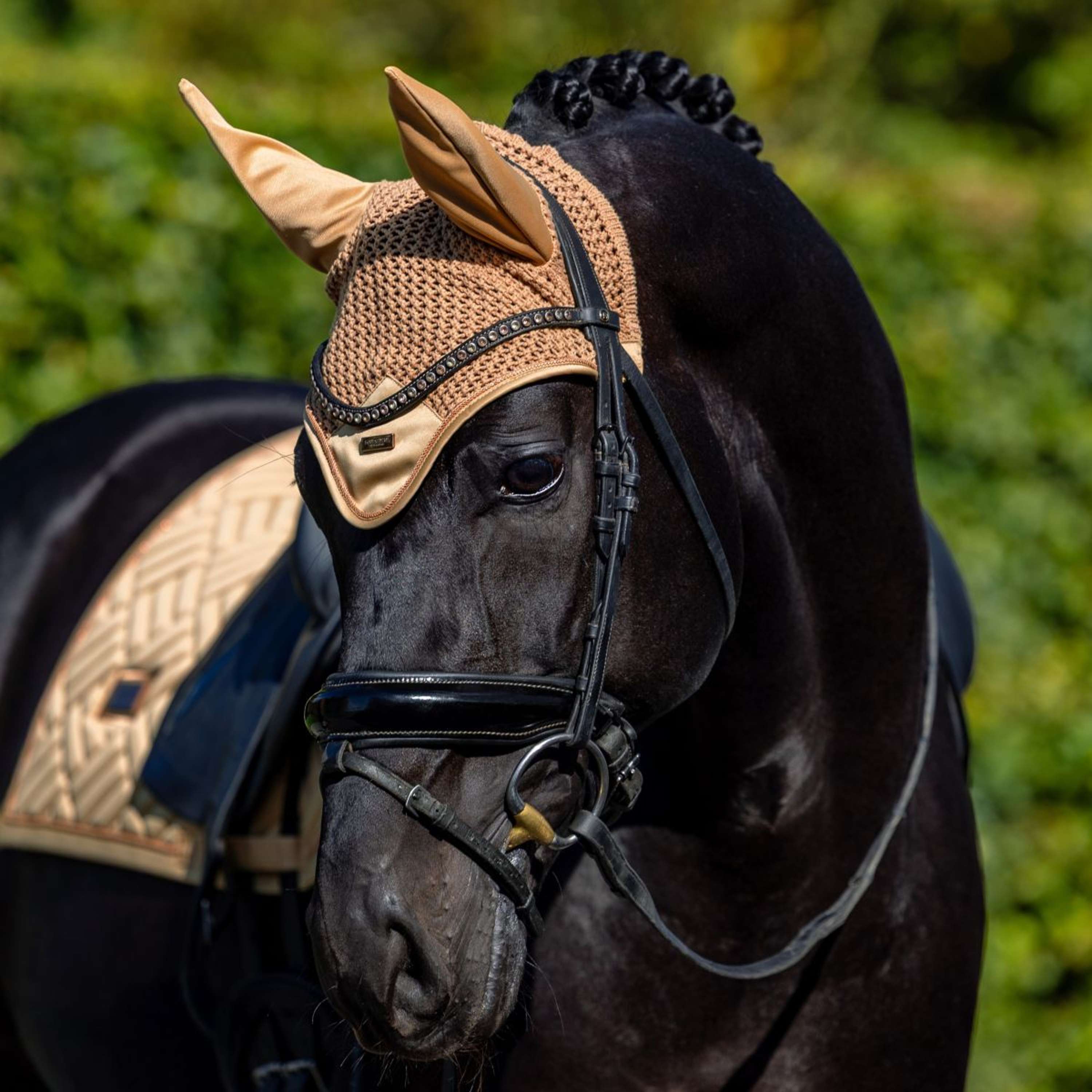 Equestrian Stockholm Saddlepad Modern Dressage Midsummer Glow