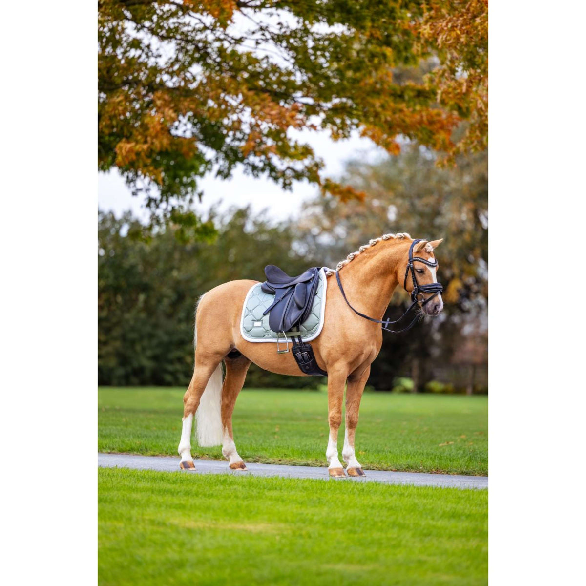 Equestrian Stockholm Saddlepad Dressage Pistachio White