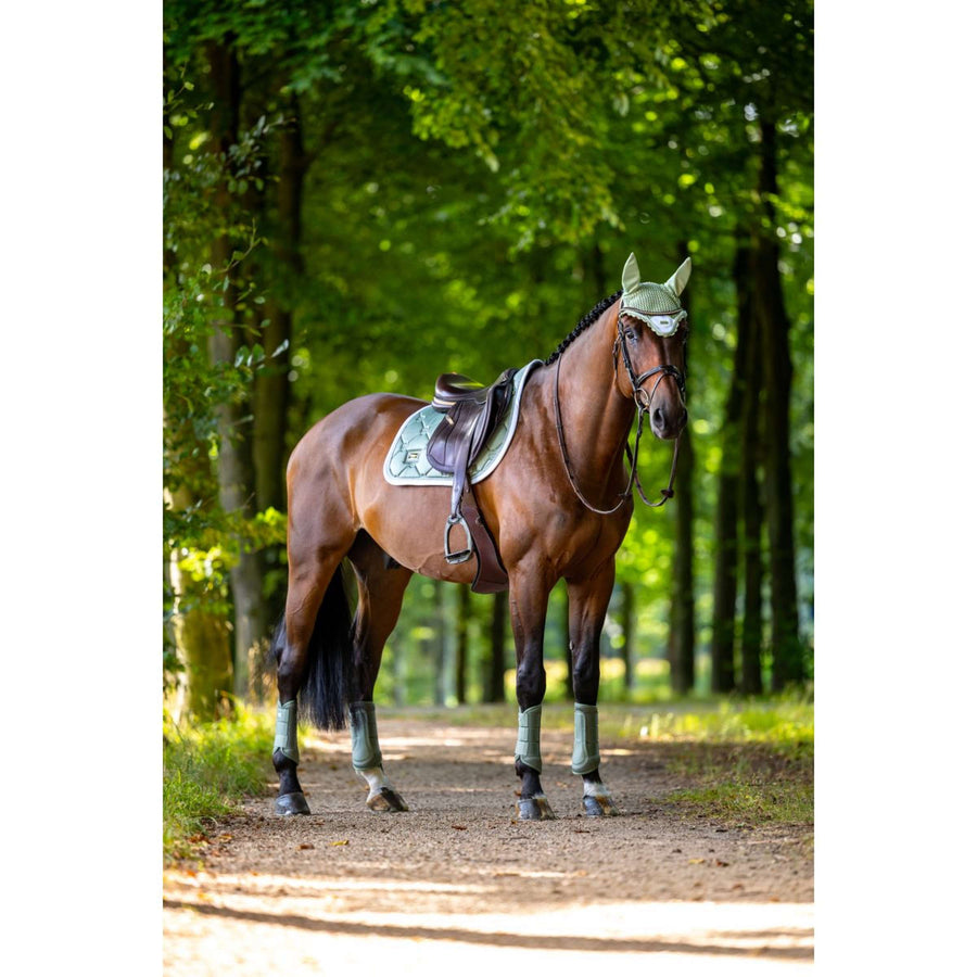 Equestrian Stockholm Ear Bonnet Pistachio White