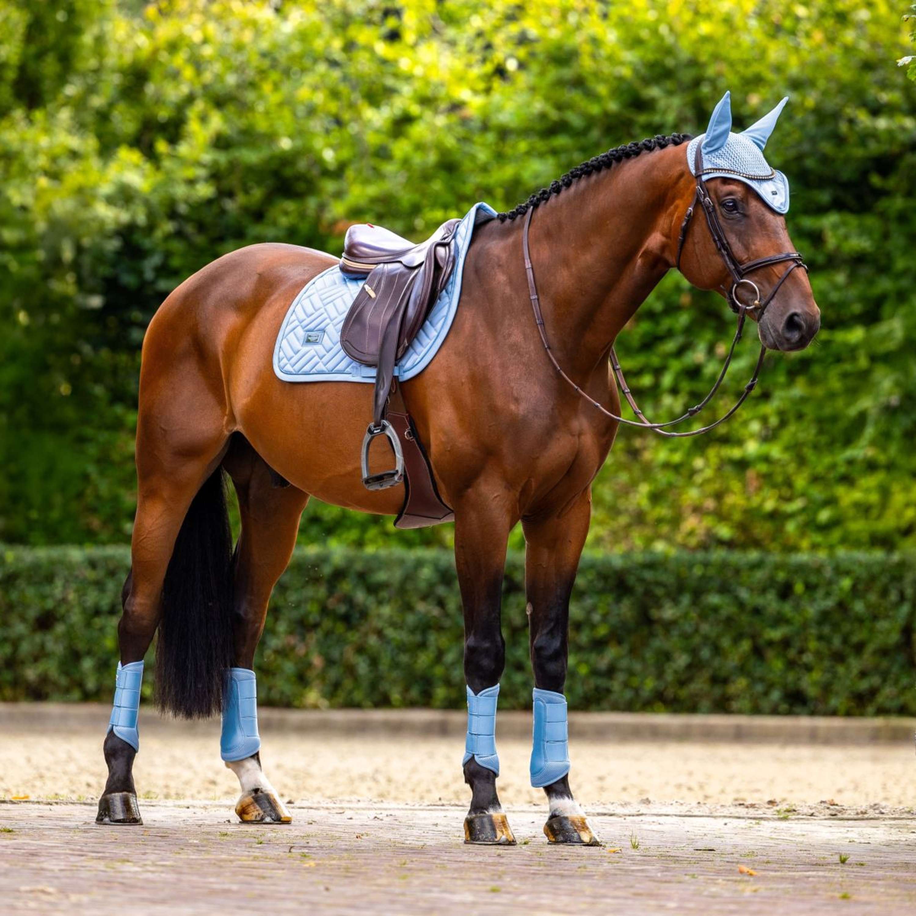Equestrian Stockholm Leg Protectors Classic Mesh Midsummer Blue
