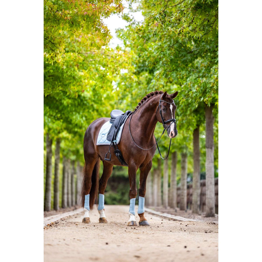 Equestrian Stockholm Leg Protectors Classic Mesh Ice Blue