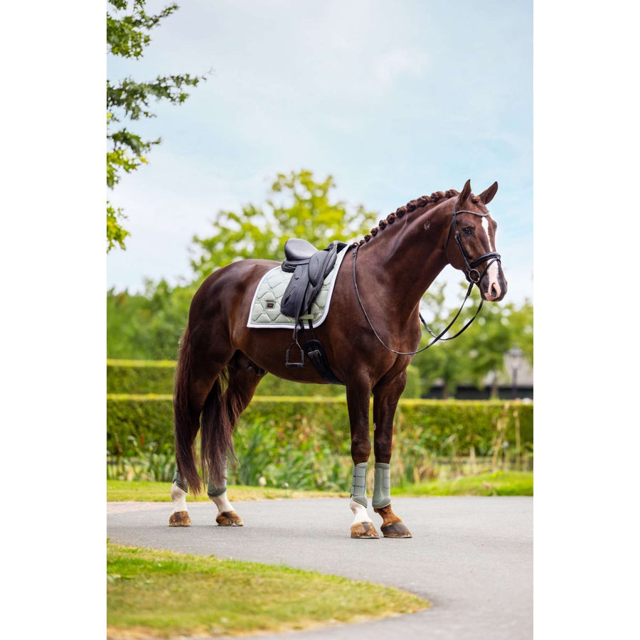 Equestrian Stockholm Leg Protectors Classic Mesh Pistachio White