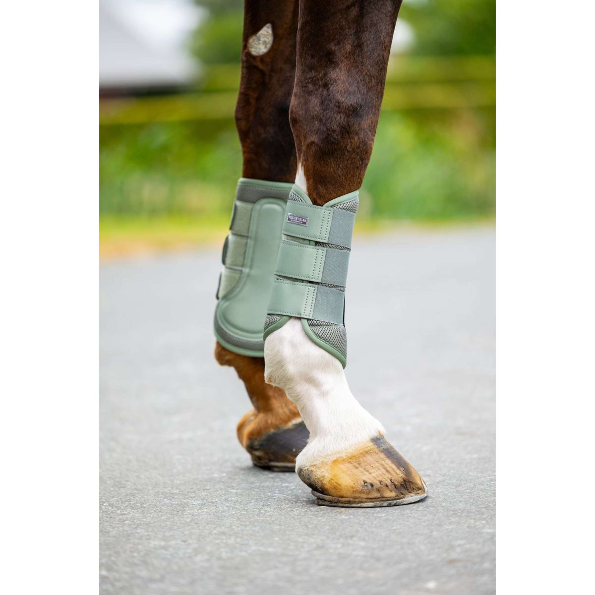 Equestrian Stockholm Leg Protectors Classic Mesh Pistachio White