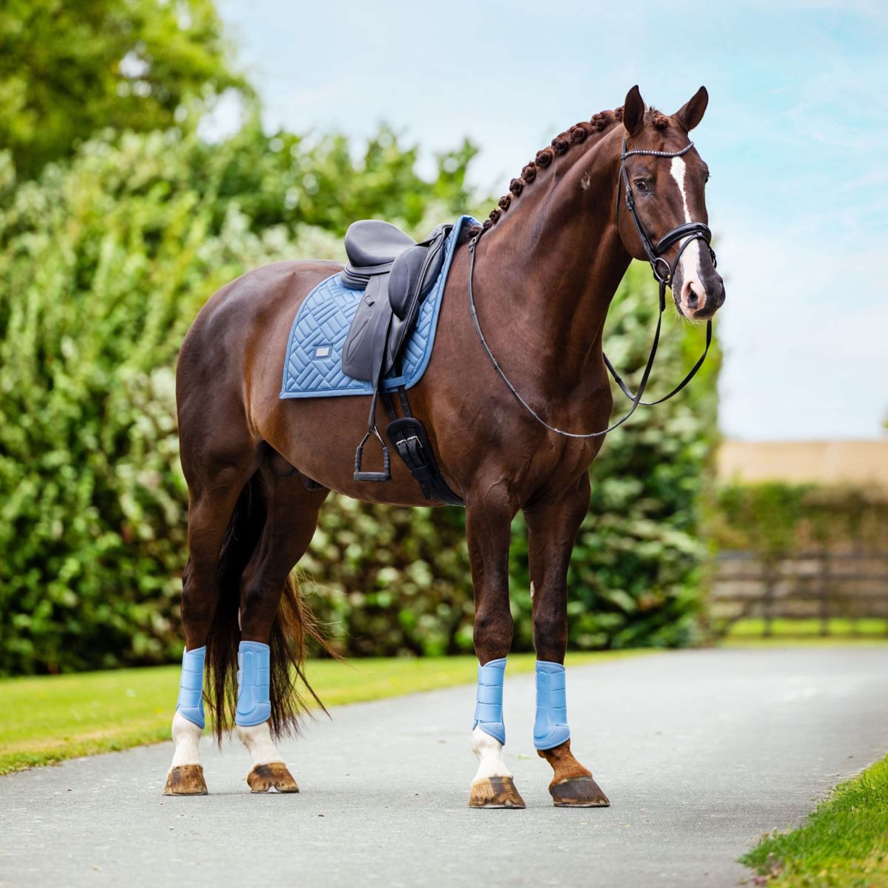 Equestrian Stockholm Leg Protectors Classic Mesh Midsummer Blue