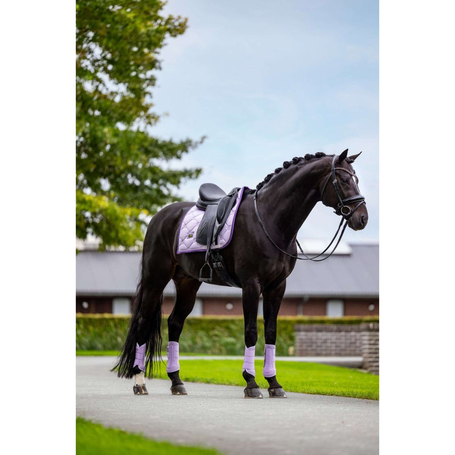 Equestrian Stockholm Saddlepad Dressage Lavender
