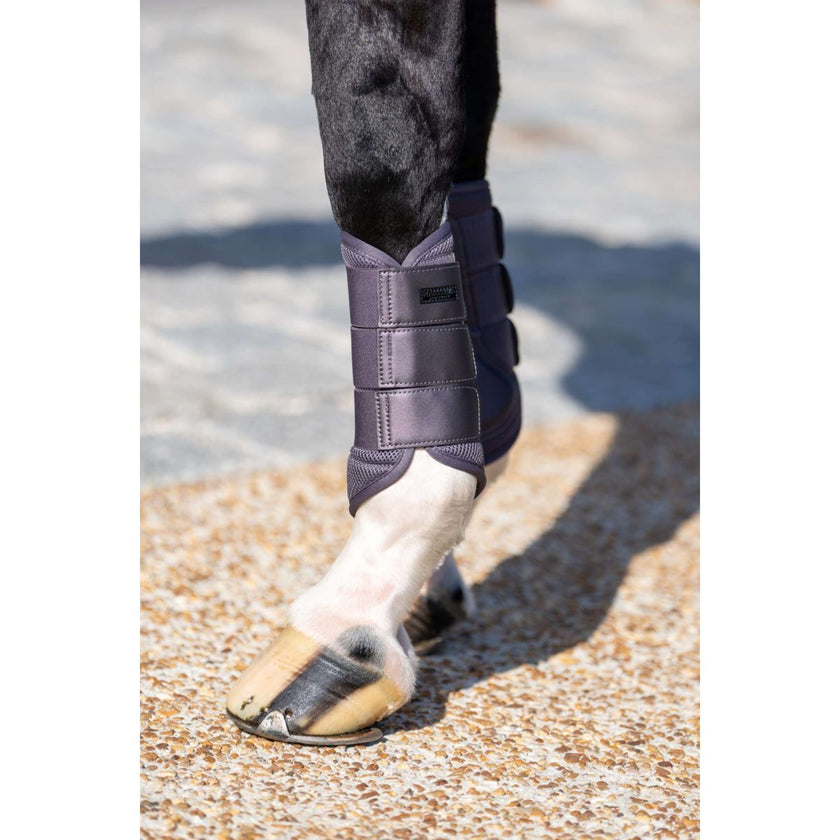 Equestrian Stockholm Leg Protectors Classic Mesh Dark Violet Equestrian Stockholm Leg Protectors Classic Mesh Dark Violet