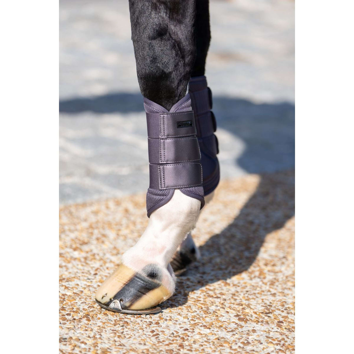 Equestrian Stockholm Leg Protectors Classic Mesh Dark Violet