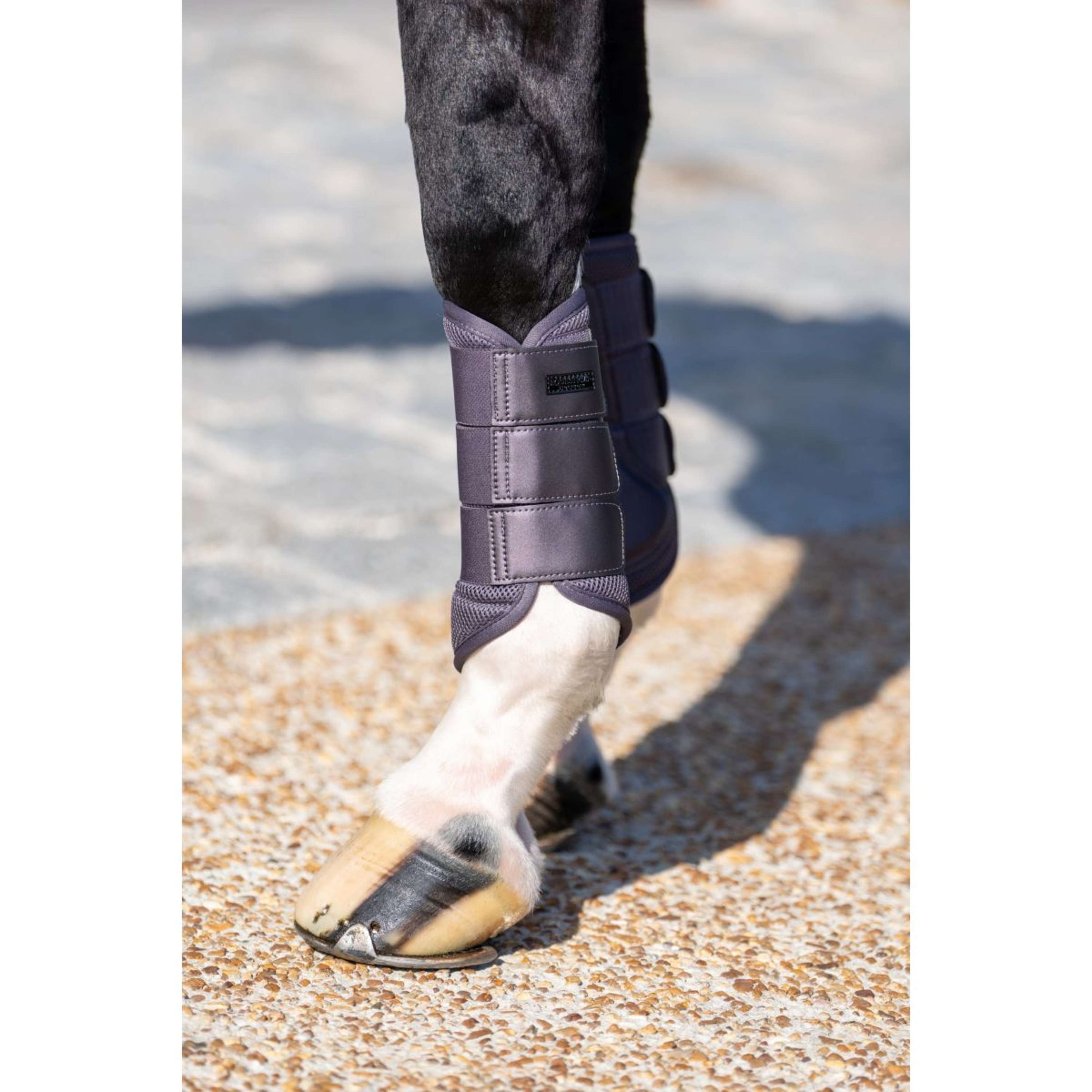 Equestrian Stockholm Leg Protectors Classic Mesh Dark Violet