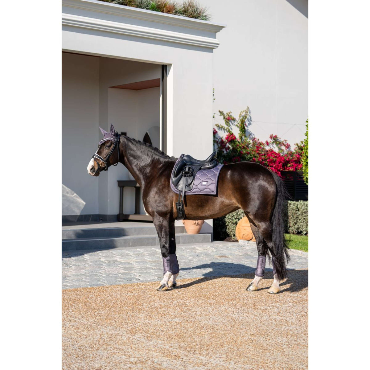 Equestrian Stockholm Leg Protectors Classic Mesh Dark Violet