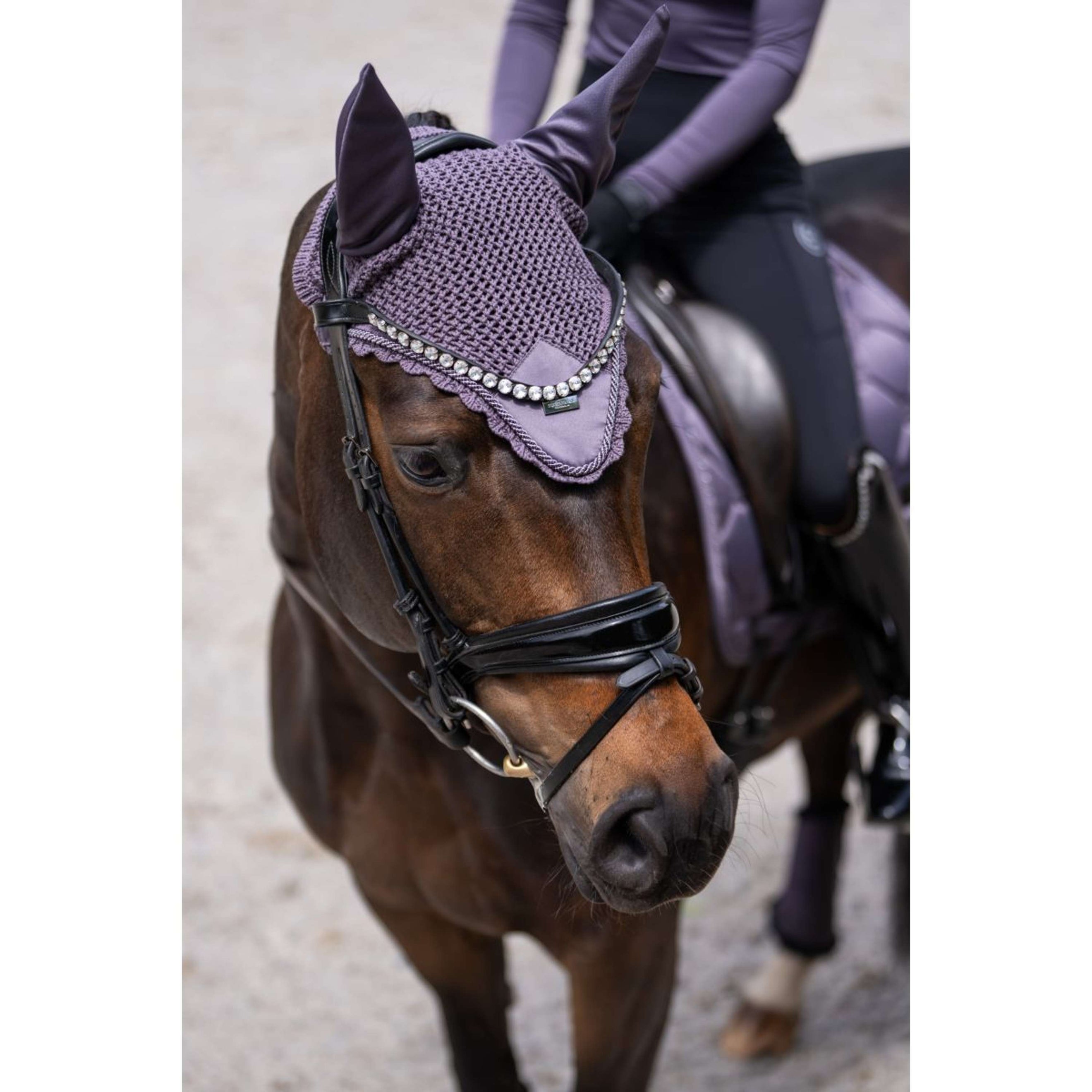 Equestrian Stockholm Ear Bonnet Dark Violet Equestrian Stockholm Ear Bonnet Dark Violet