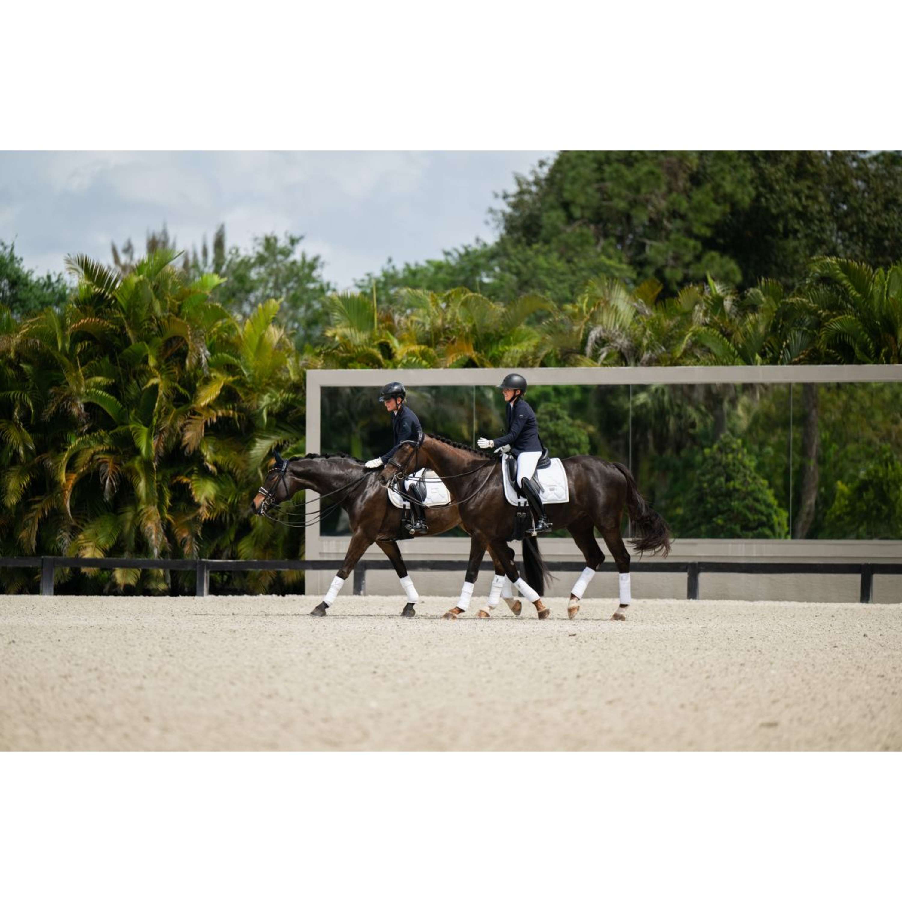 Equestrian Stockholm Saddlepad Dressage White Silver