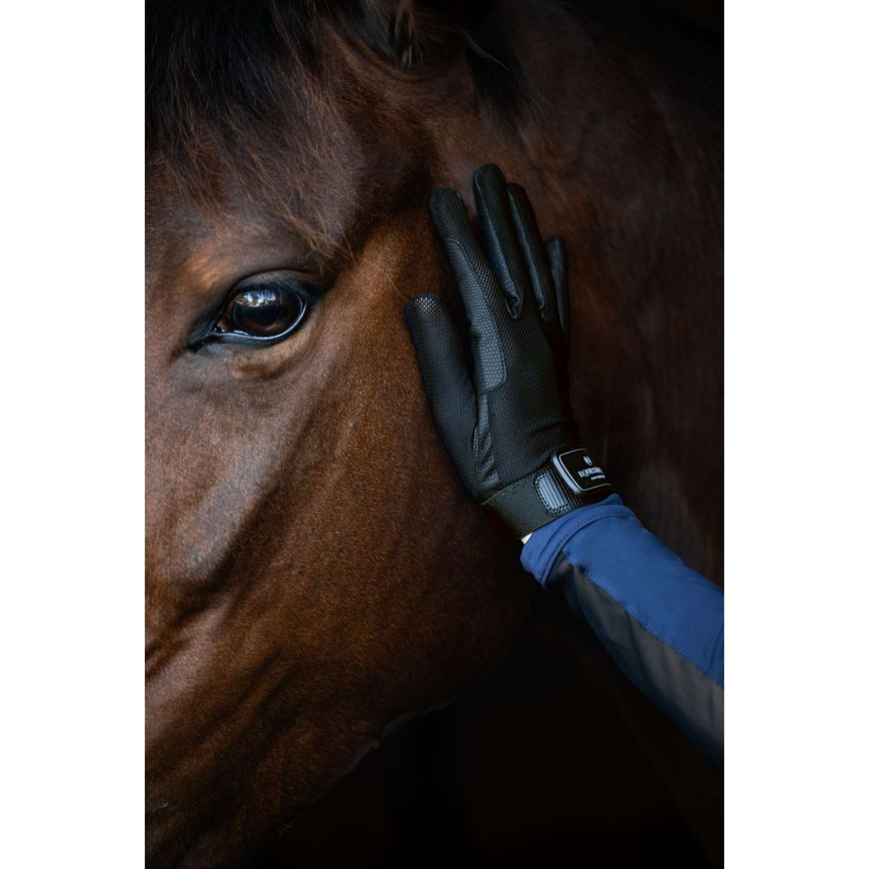 Equestrian Stockholm Riding Gloves Summer Black Edition