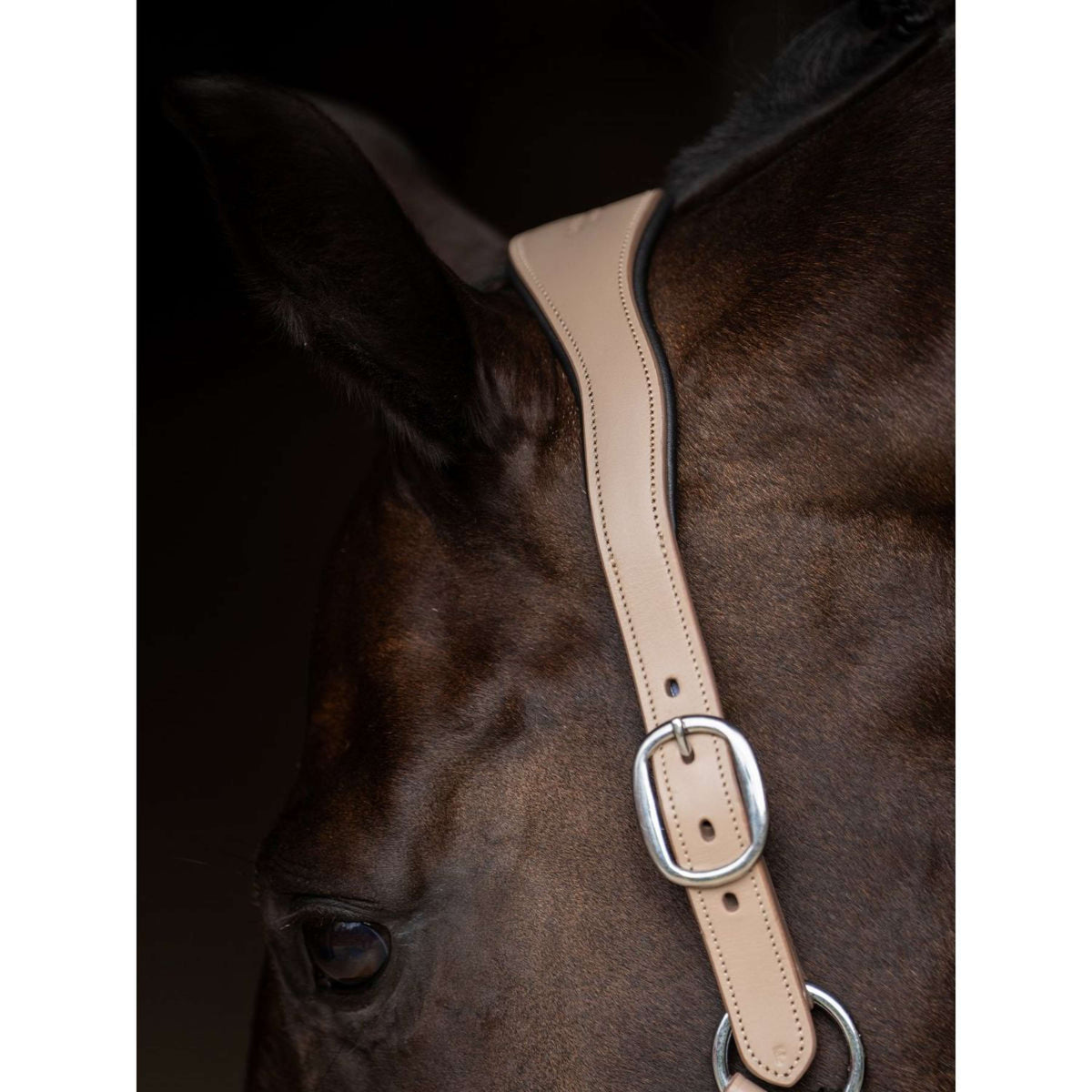 Equestrian Stockholm Halter Glimmer Leather Anatomic Sand