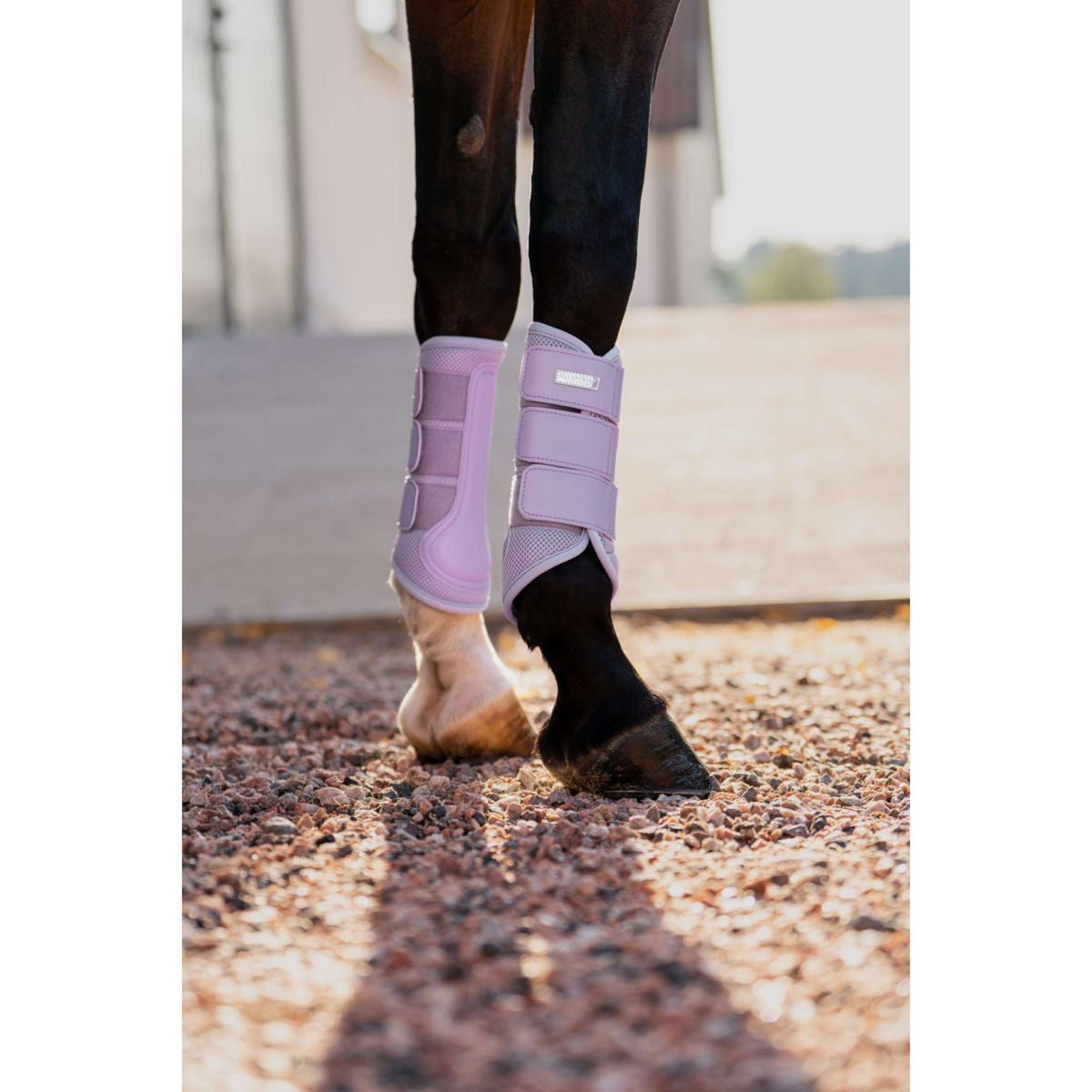 Equestrian Stockholm Leg Protectors Classic Mesh Lavender