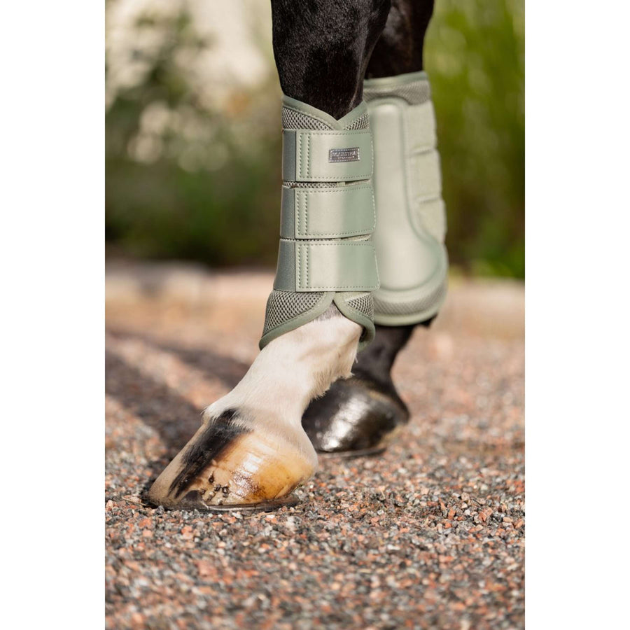 Equestrian Stockholm Leg Protectors Classic Mesh Pistachio White
