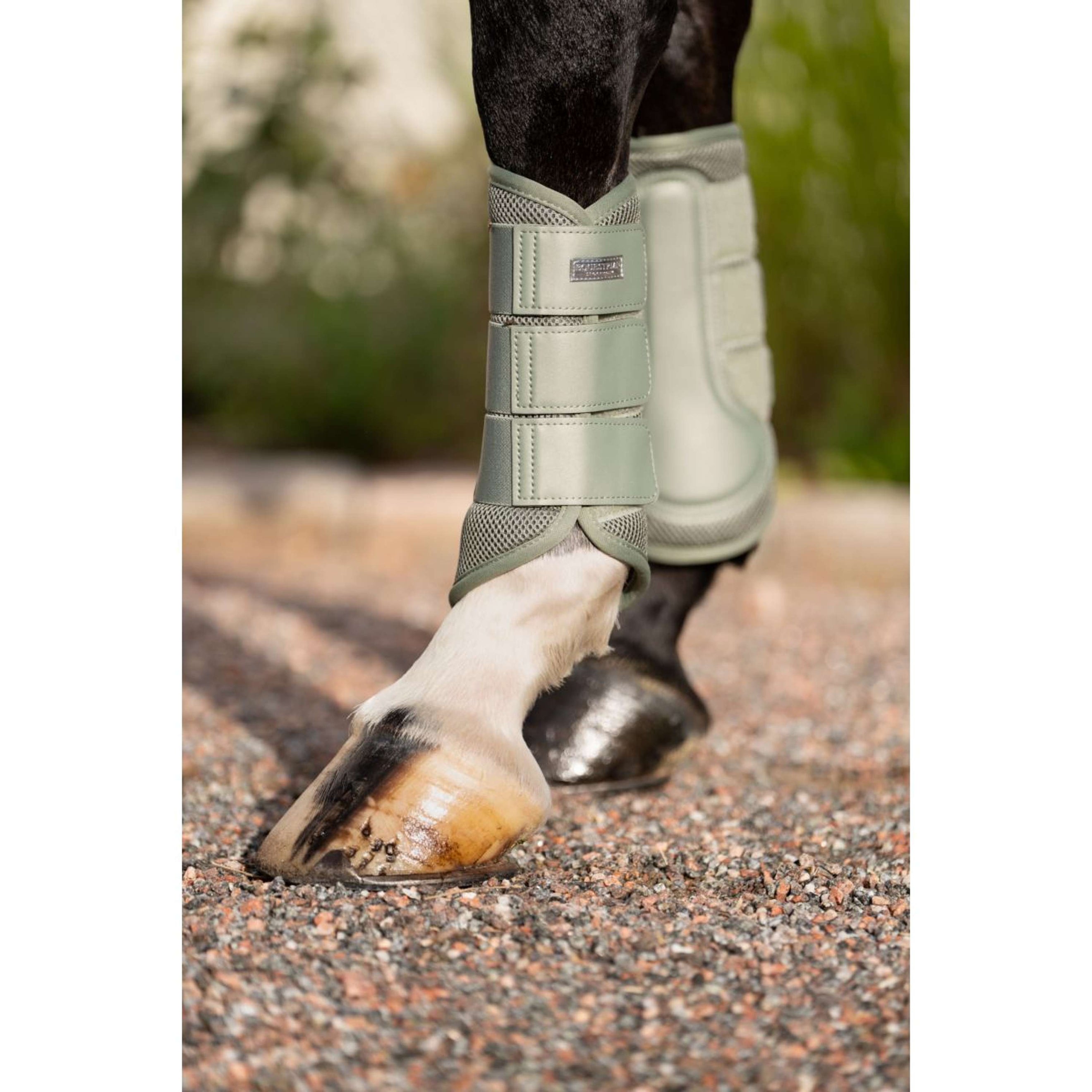 Equestrian Stockholm Leg Protectors Classic Mesh Pistachio White Equestrian Stockholm Leg Protectors Classic Mesh Pistachio White