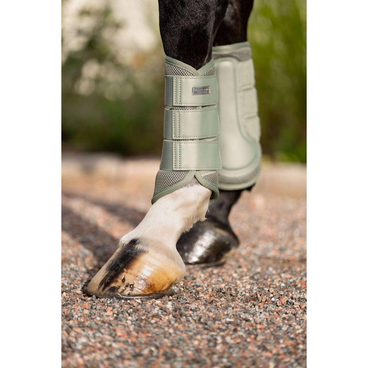 Equestrian Stockholm Leg Protectors Classic Mesh Pistachio White