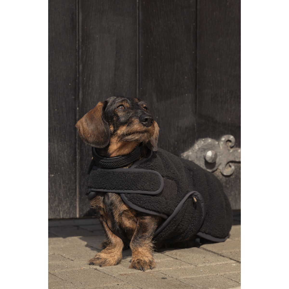 Eskadron Dog RugHeritage Teddy Black