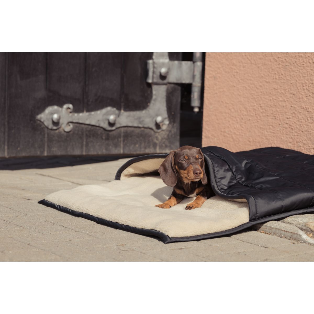 Eskadron Dog BedHeritage Teddyfleece Black