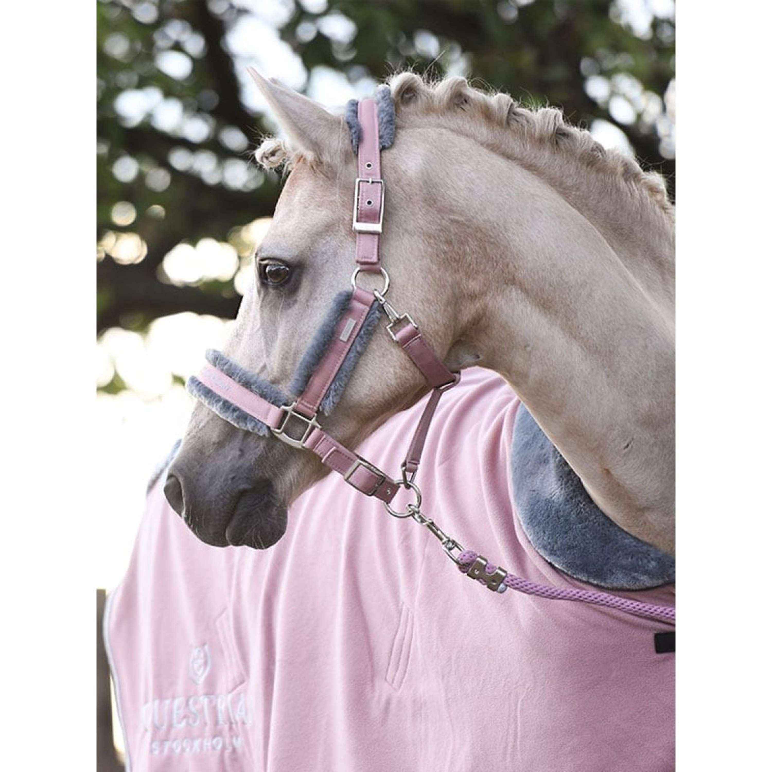 Equestrian Stockholm Halter and Leadrope Fur Pink