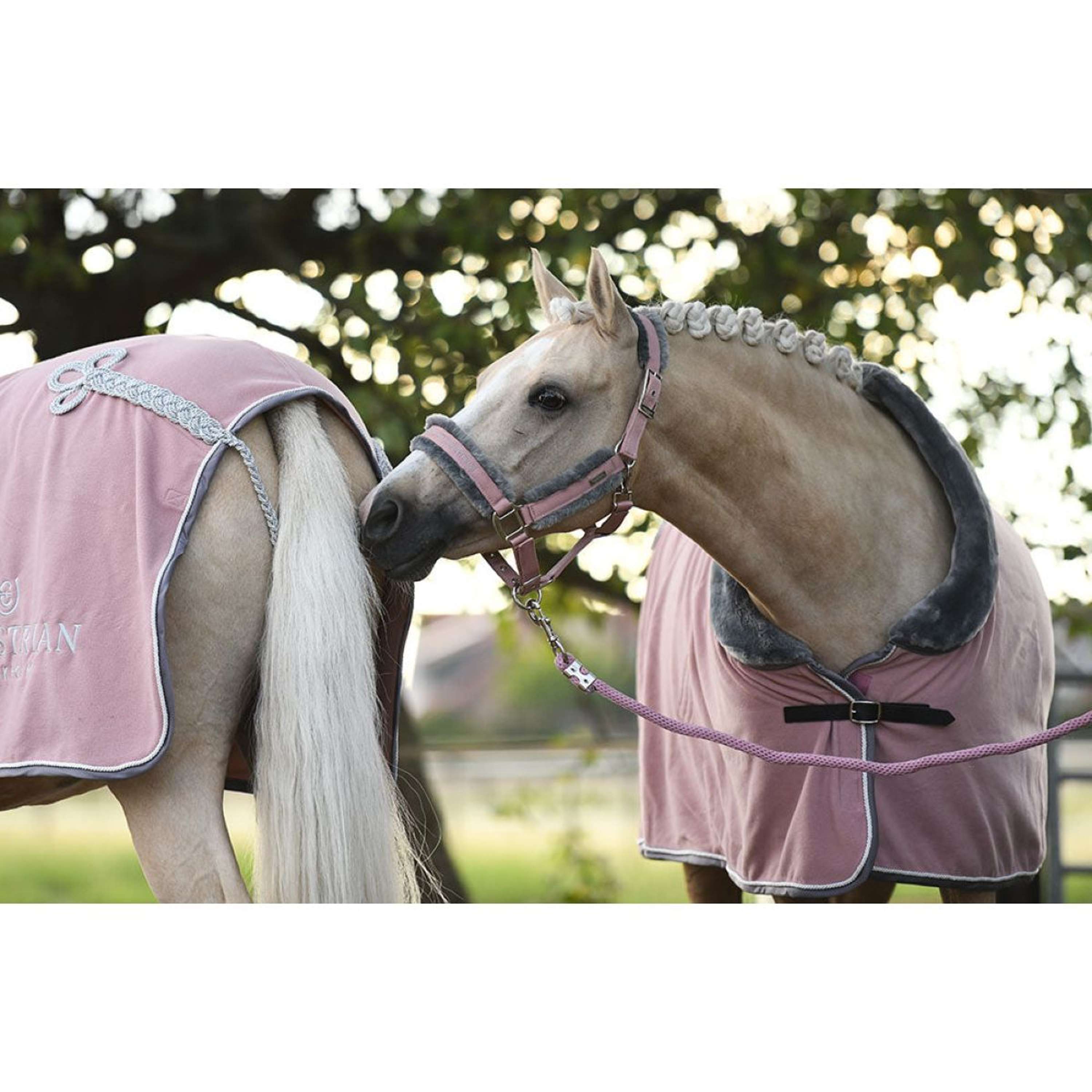 Equestrian Stockholm Halter and Leadrope Fur Pink