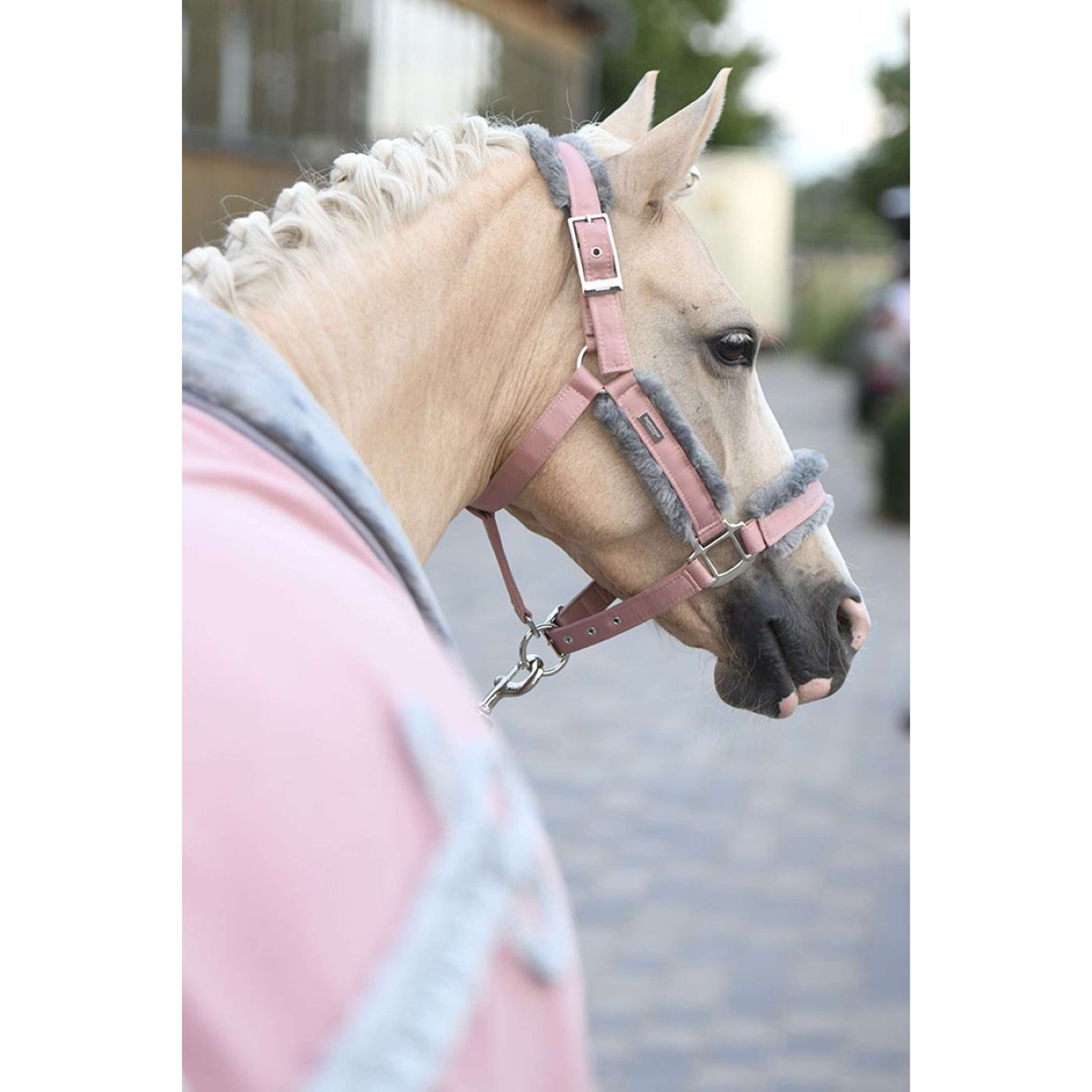 Equestrian Stockholm Halter and Leadrope Fur Pink