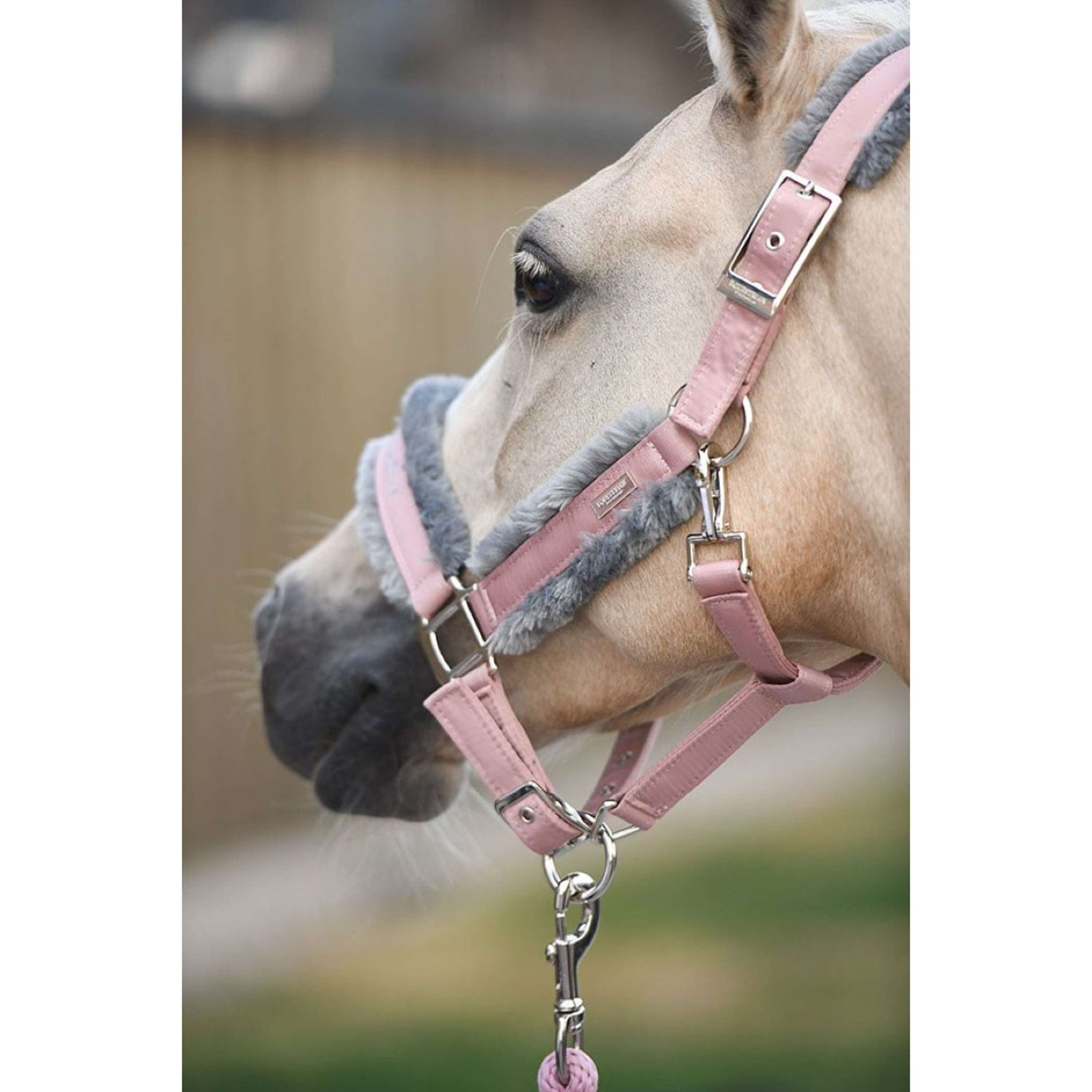 Equestrian Stockholm Halter and Leadrope Fur Pink