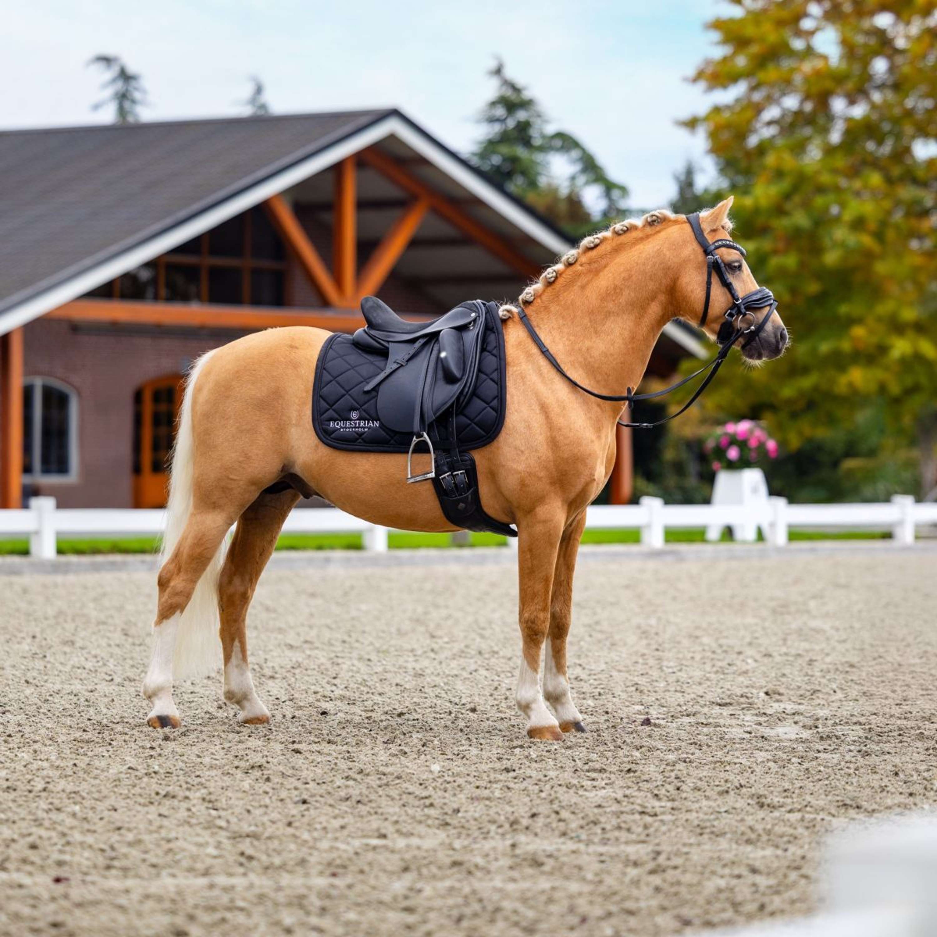 Equestrian Stockholm Saddlepad Line Dressage Black